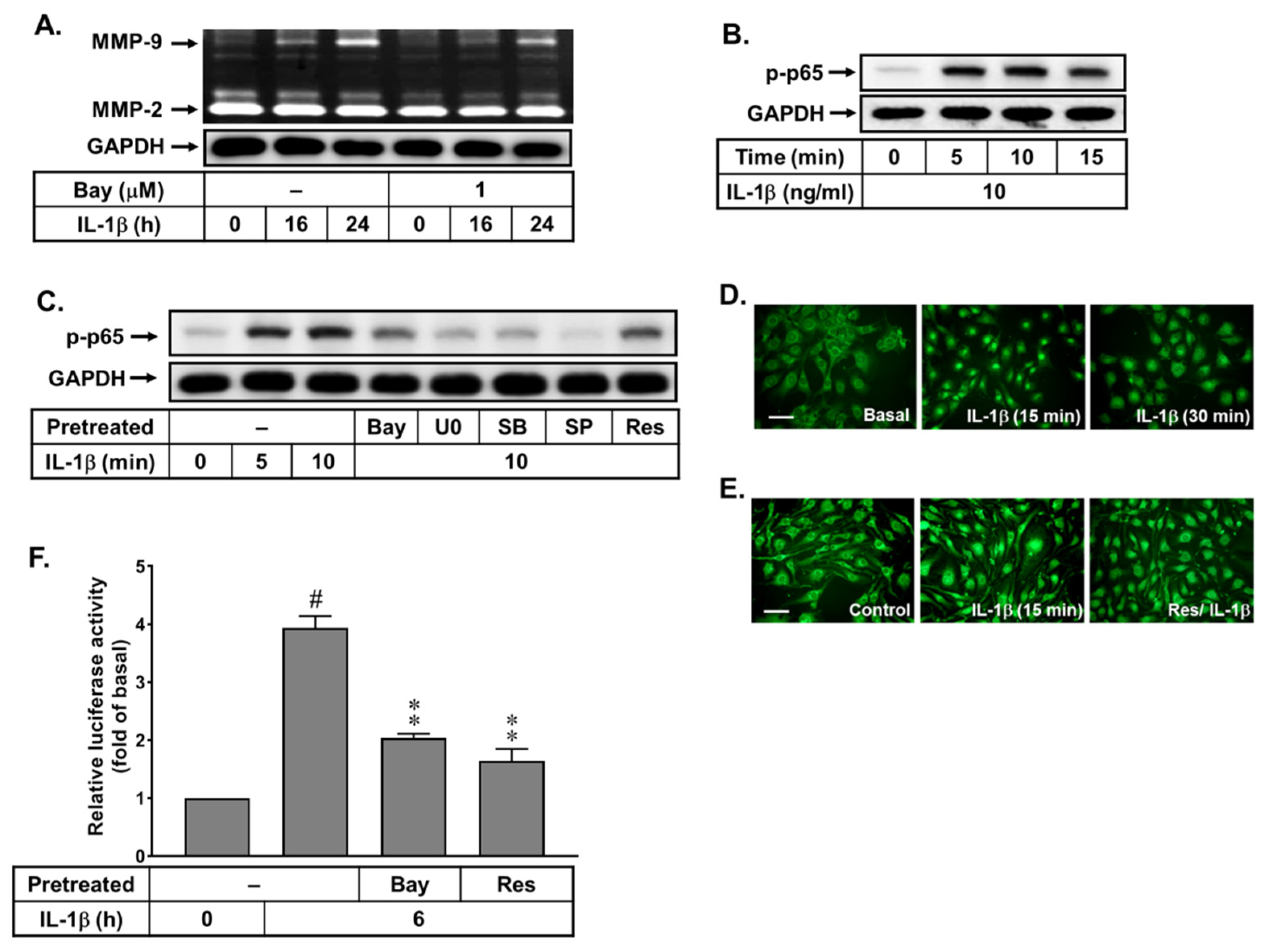 Biomedicines 10 01270 g005