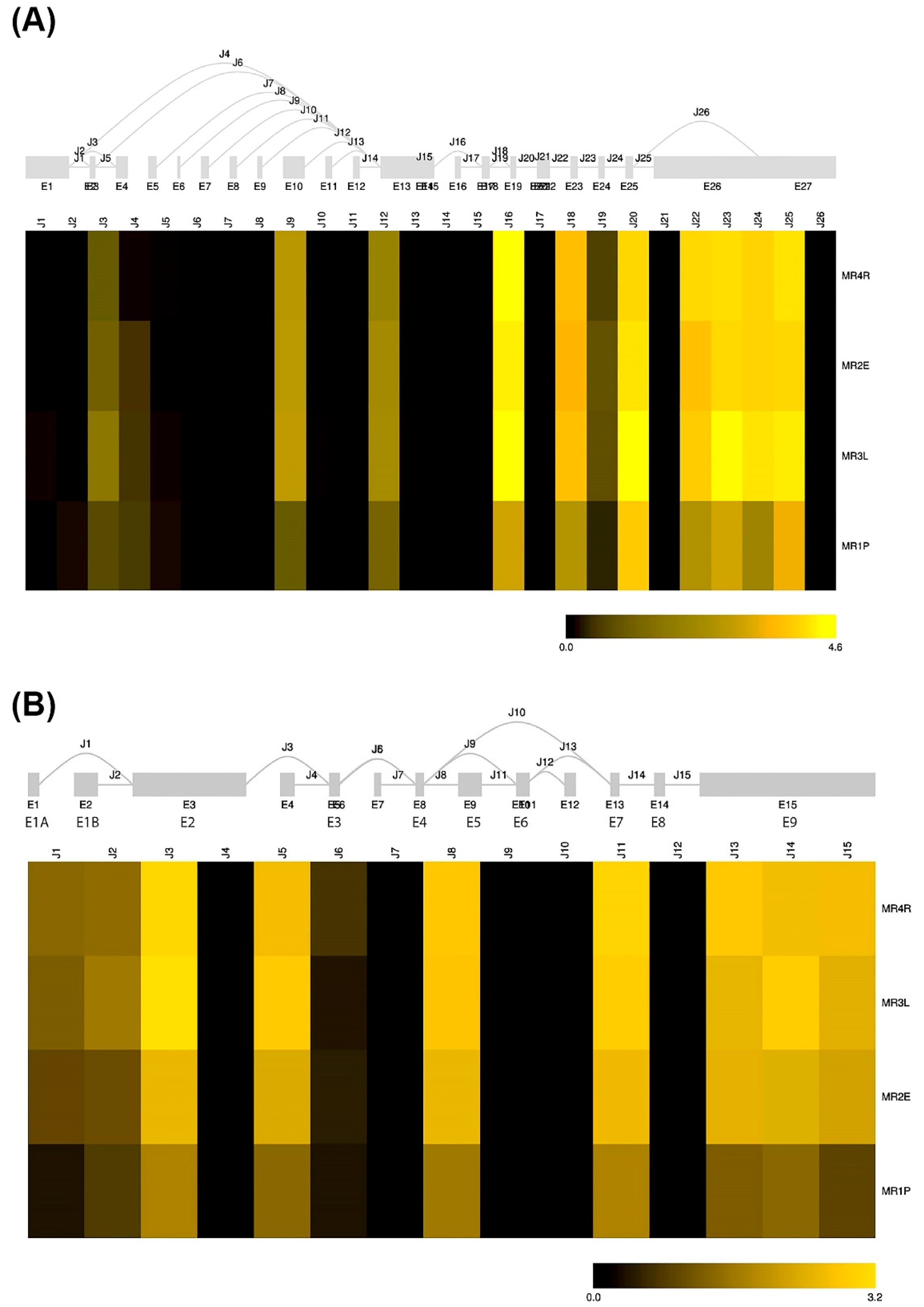 Biomedicines 10 01271 g002