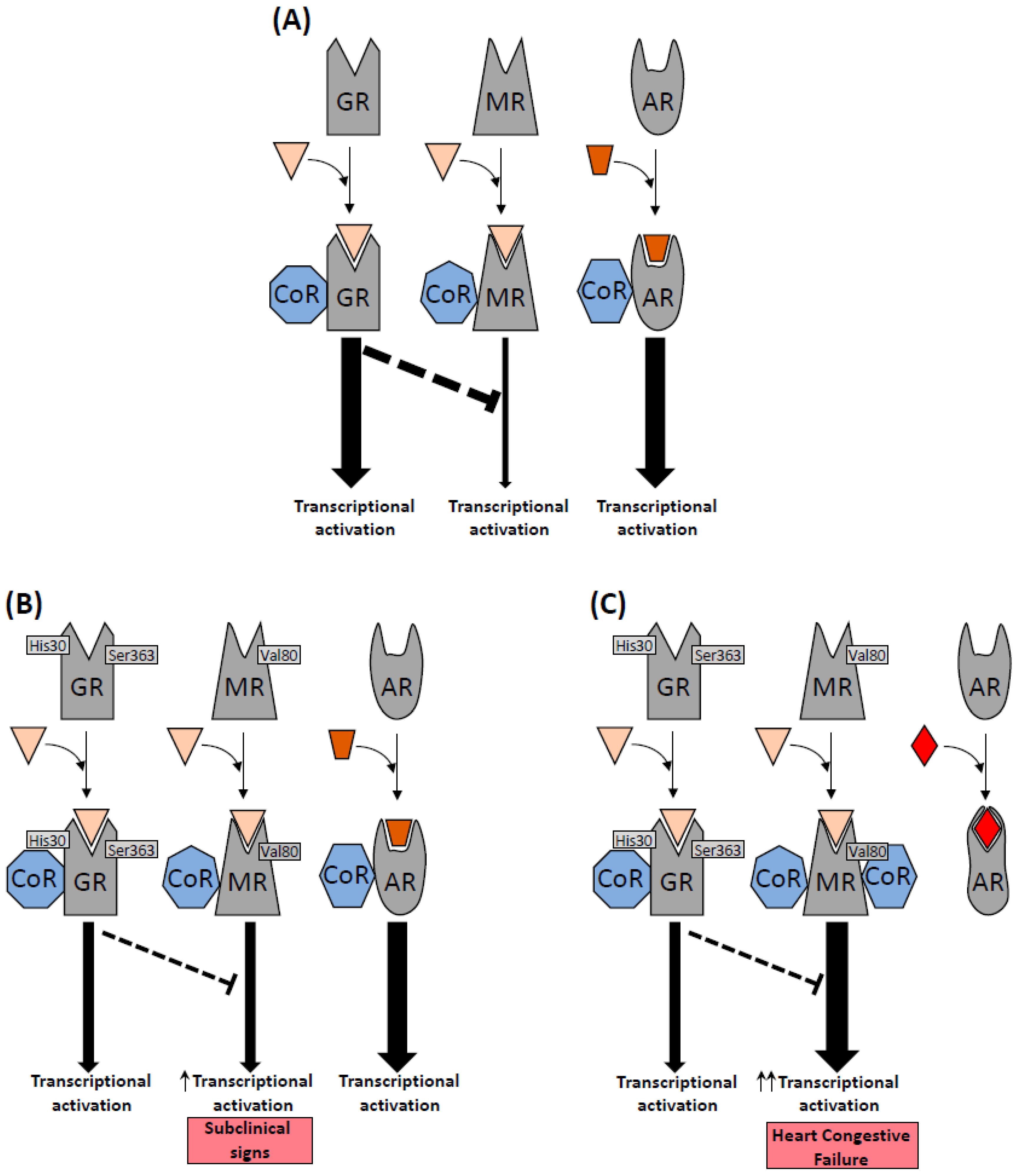 Biomedicines 10 01271 g003