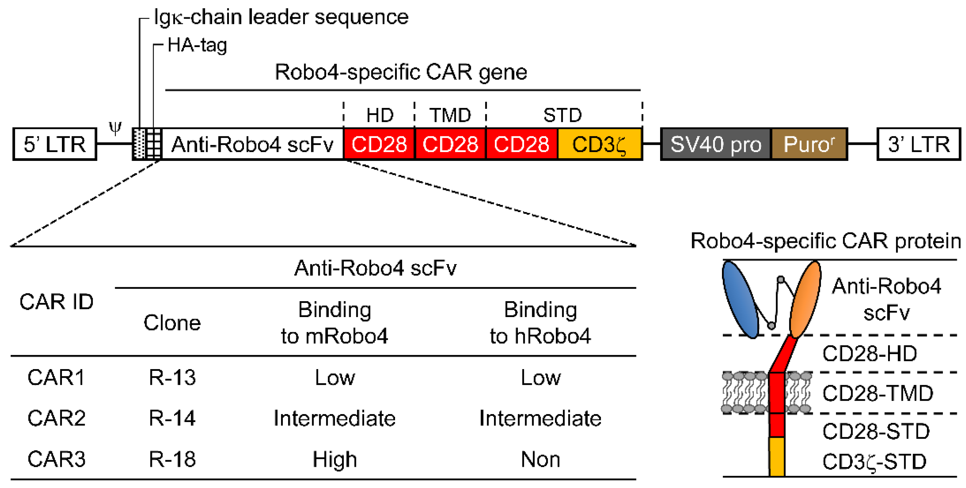 Biomedicines 10 01273 g001