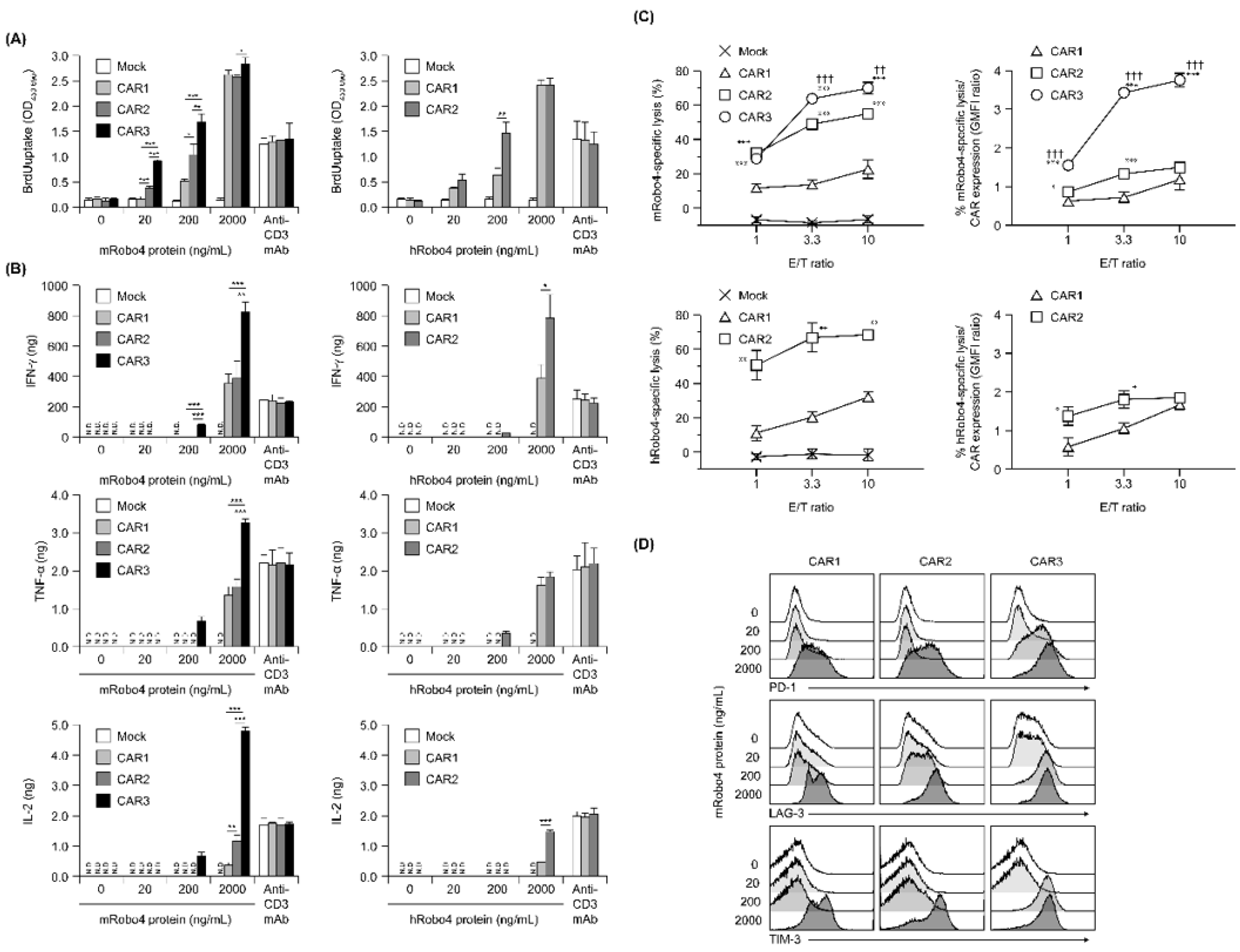 Biomedicines 10 01273 g003