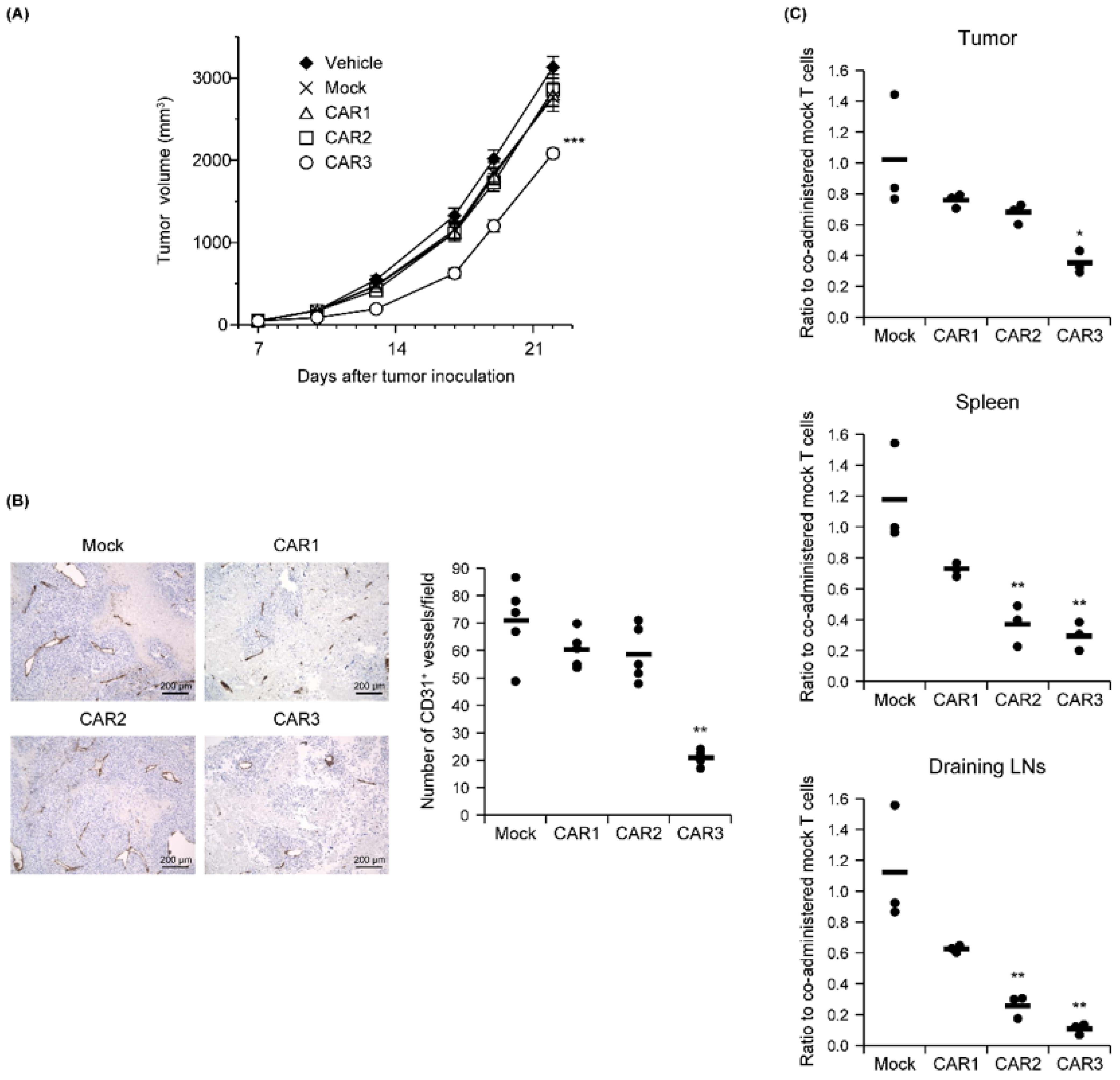 Biomedicines 10 01273 g004