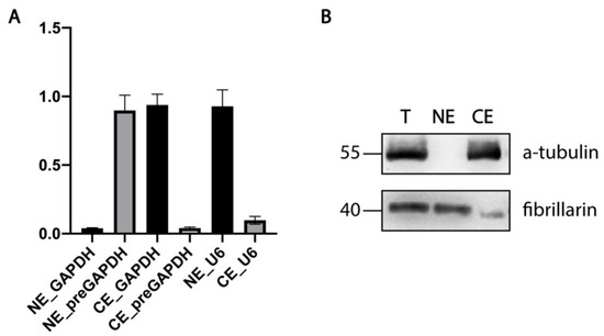 Biomedicines 10 01275 g0a1 550