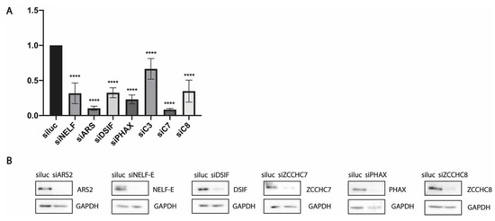 Biomedicines 10 01275 g0a2 550
