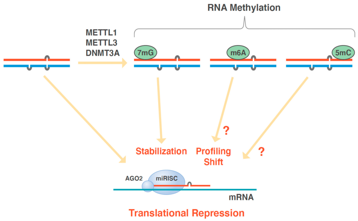 Biomedicines 10 01280 g003