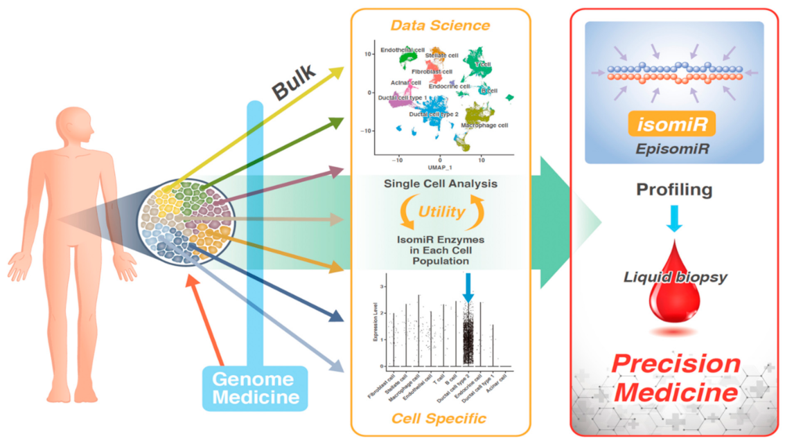 Biomedicines 10 01280 g004