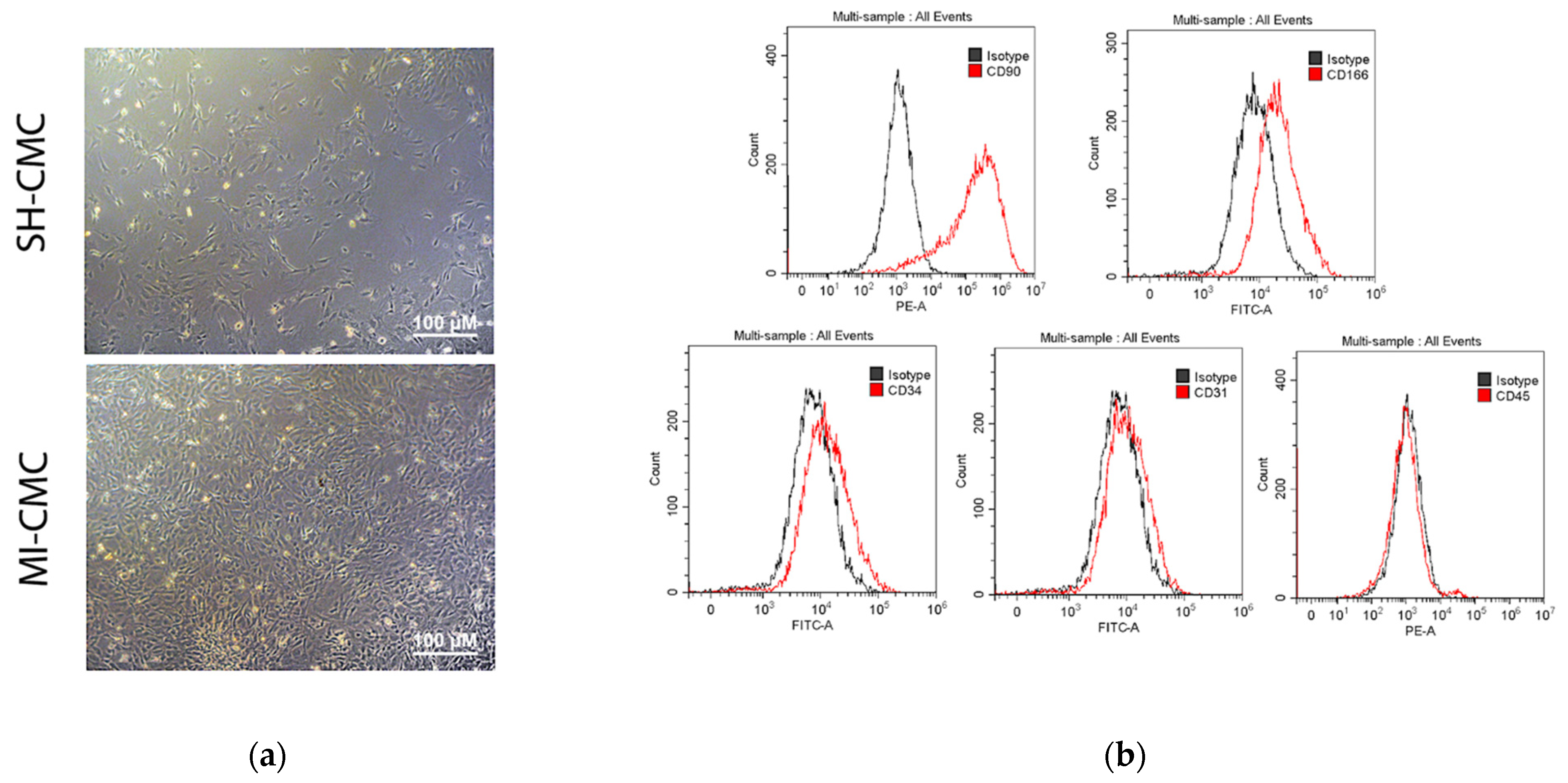 Biomedicines 10 01283 g003