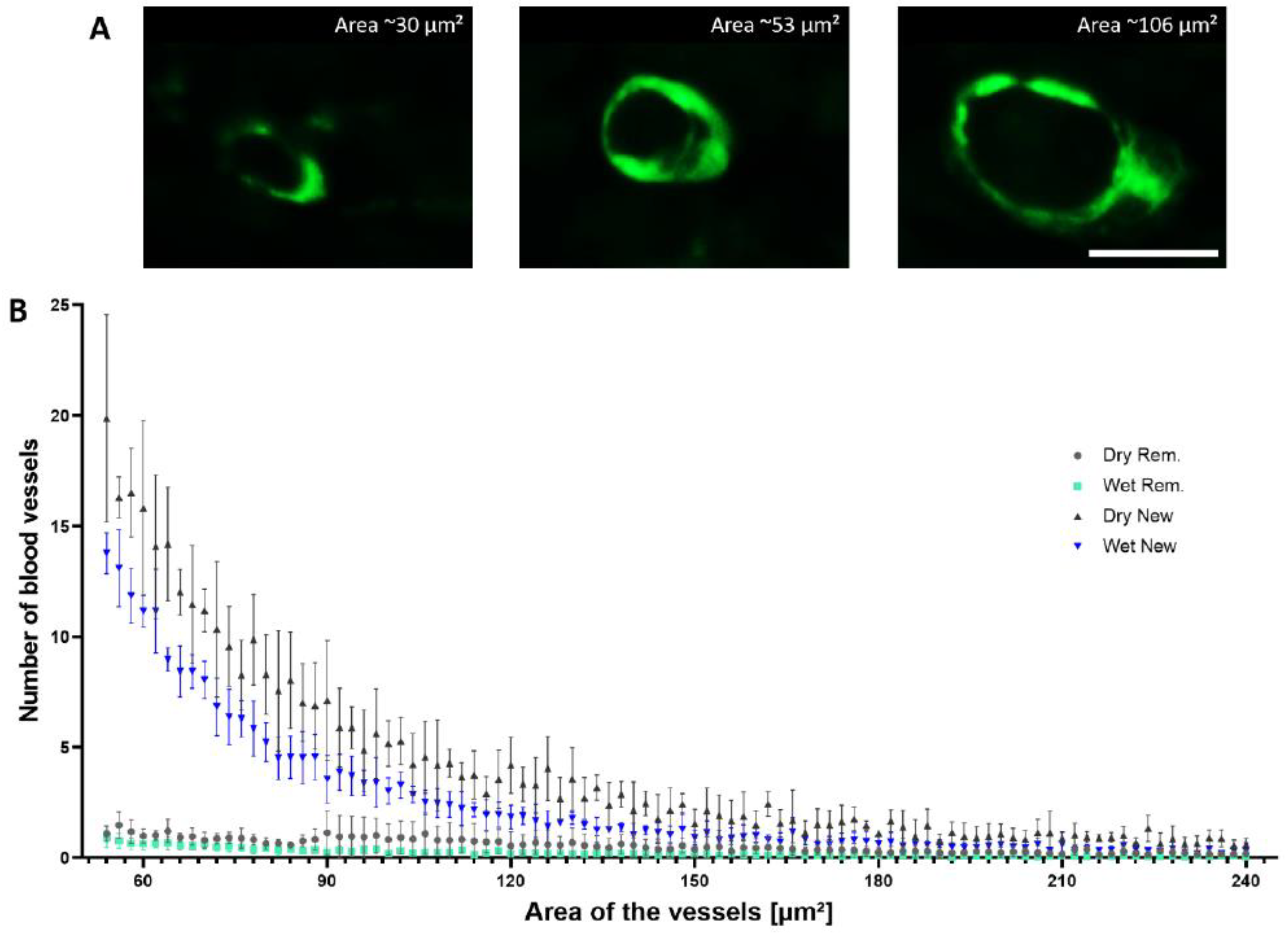 Biomedicines 10 01286 g005
