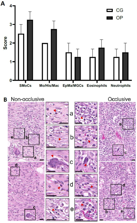 Biomedicines 10 01286 g006