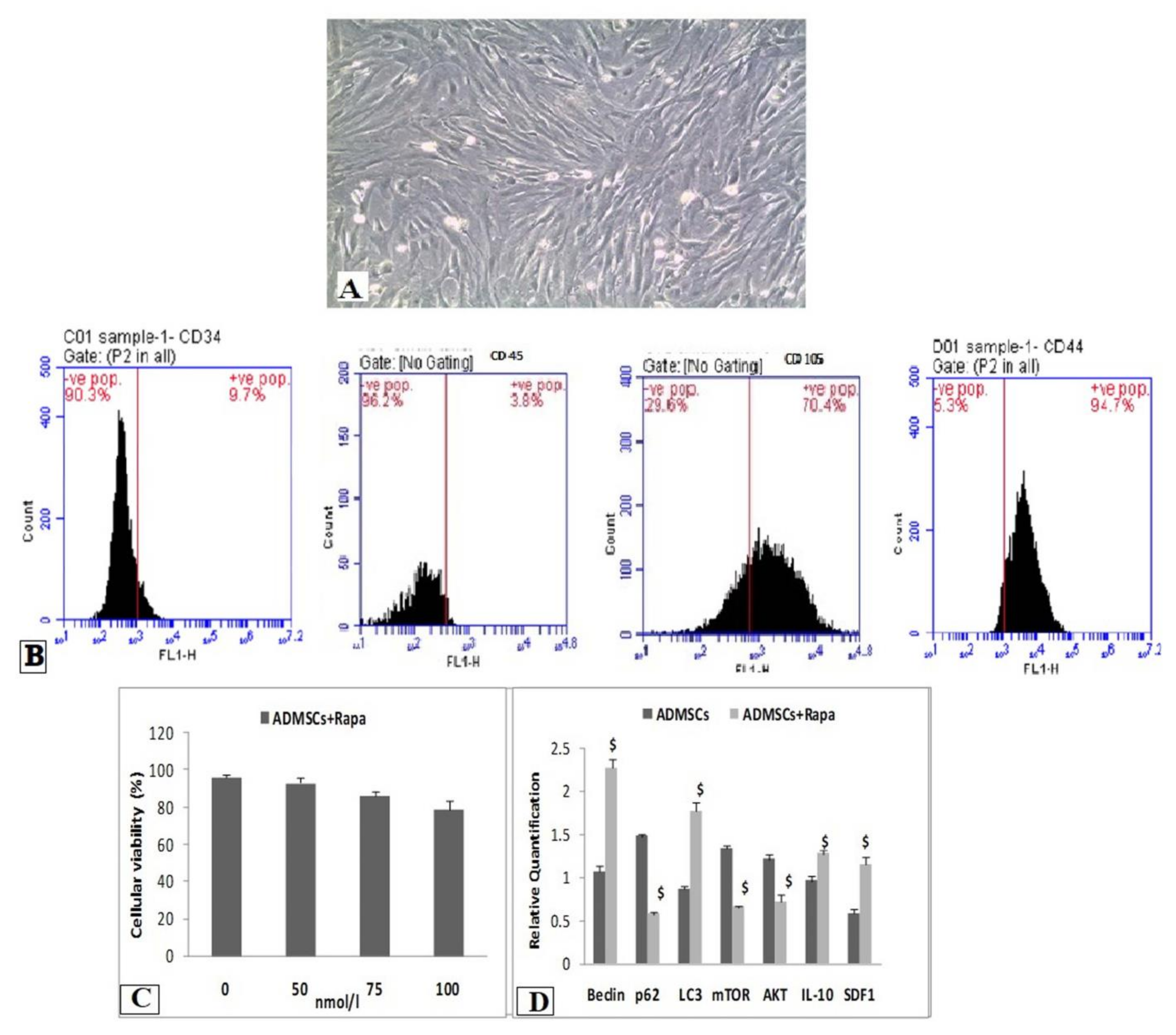 Biomedicines 10 01295 g001 Biomedicines 10 01295 g001