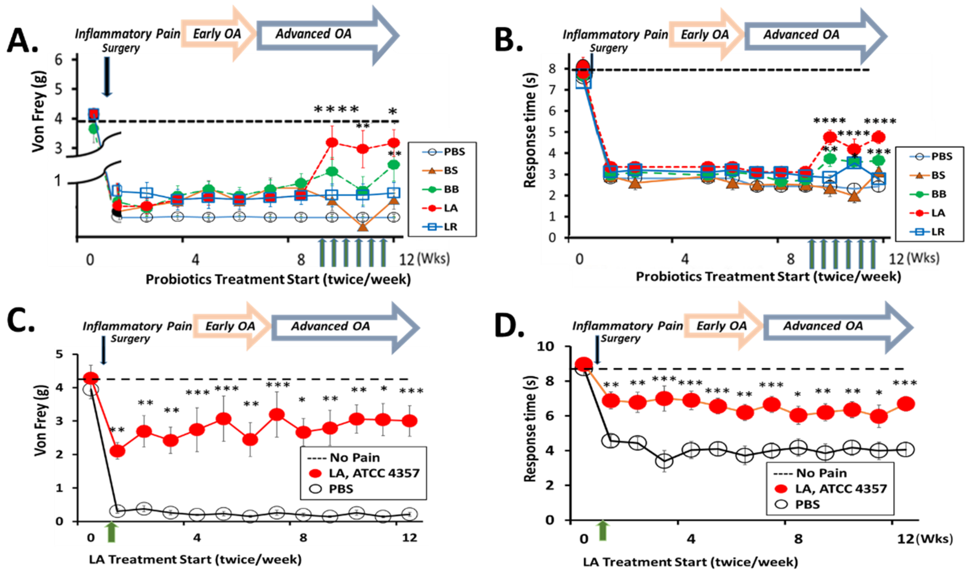 Biomedicines 10 01298 g001