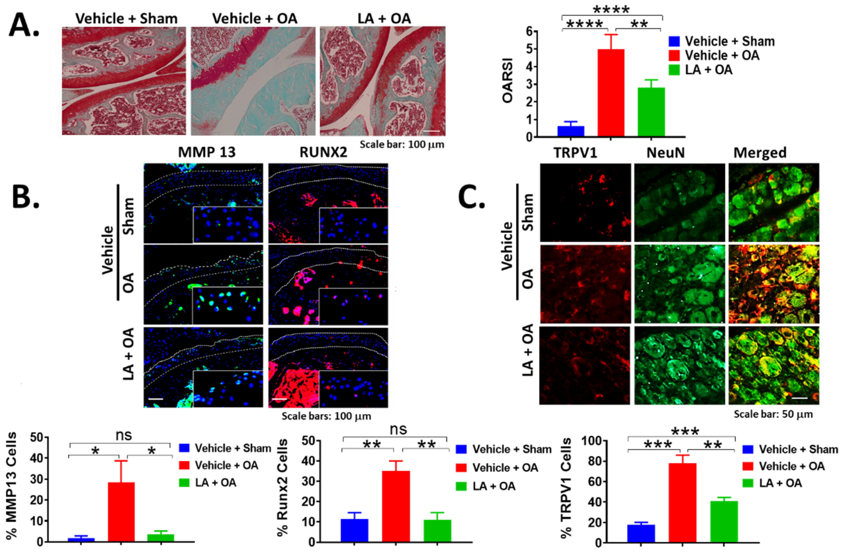 Biomedicines 10 01298 g002