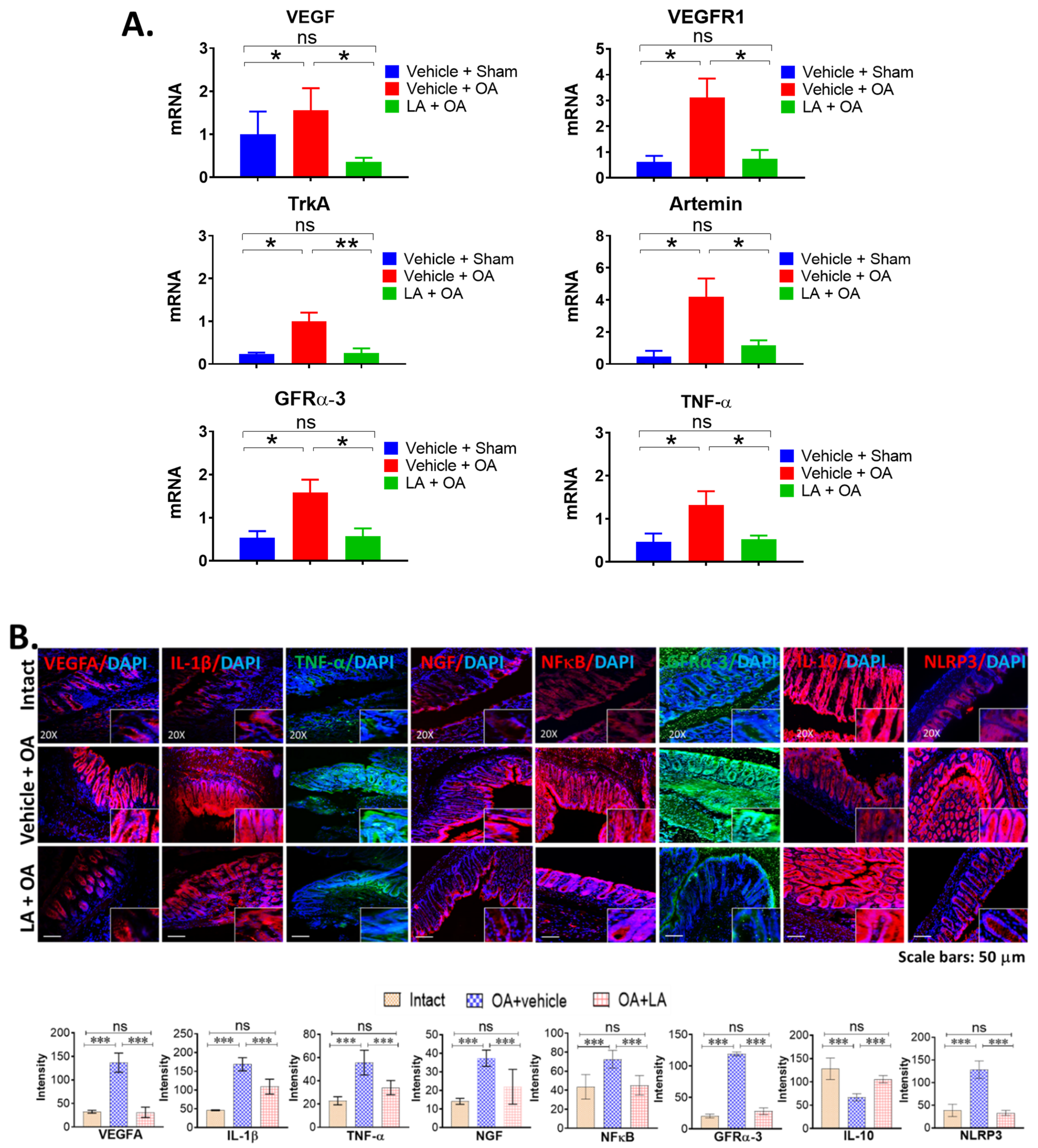 Biomedicines 10 01298 g003