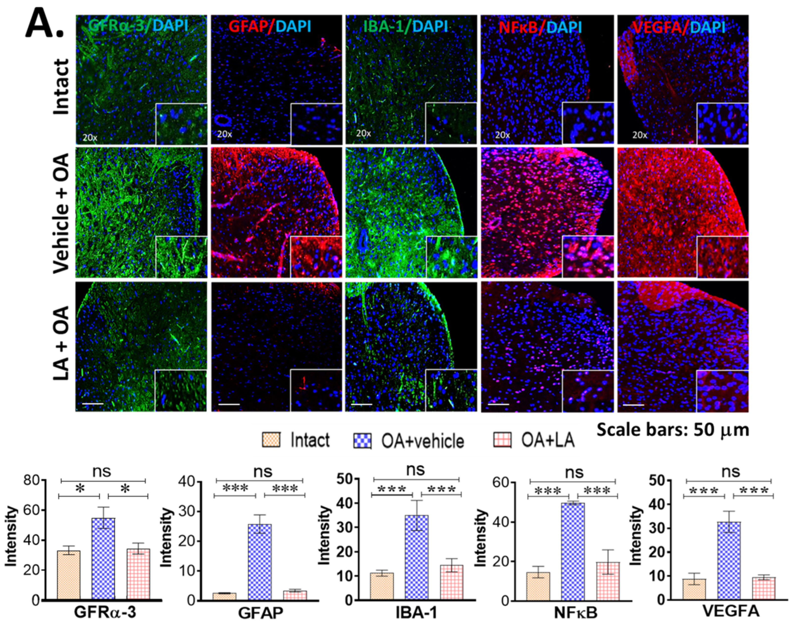 Biomedicines 10 01298 g004a