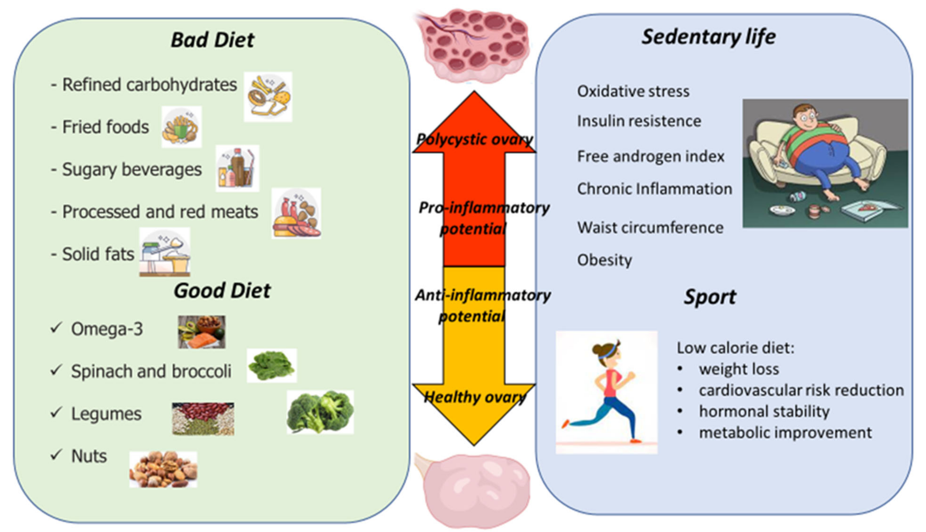 Biomedicines 10 01305 g002