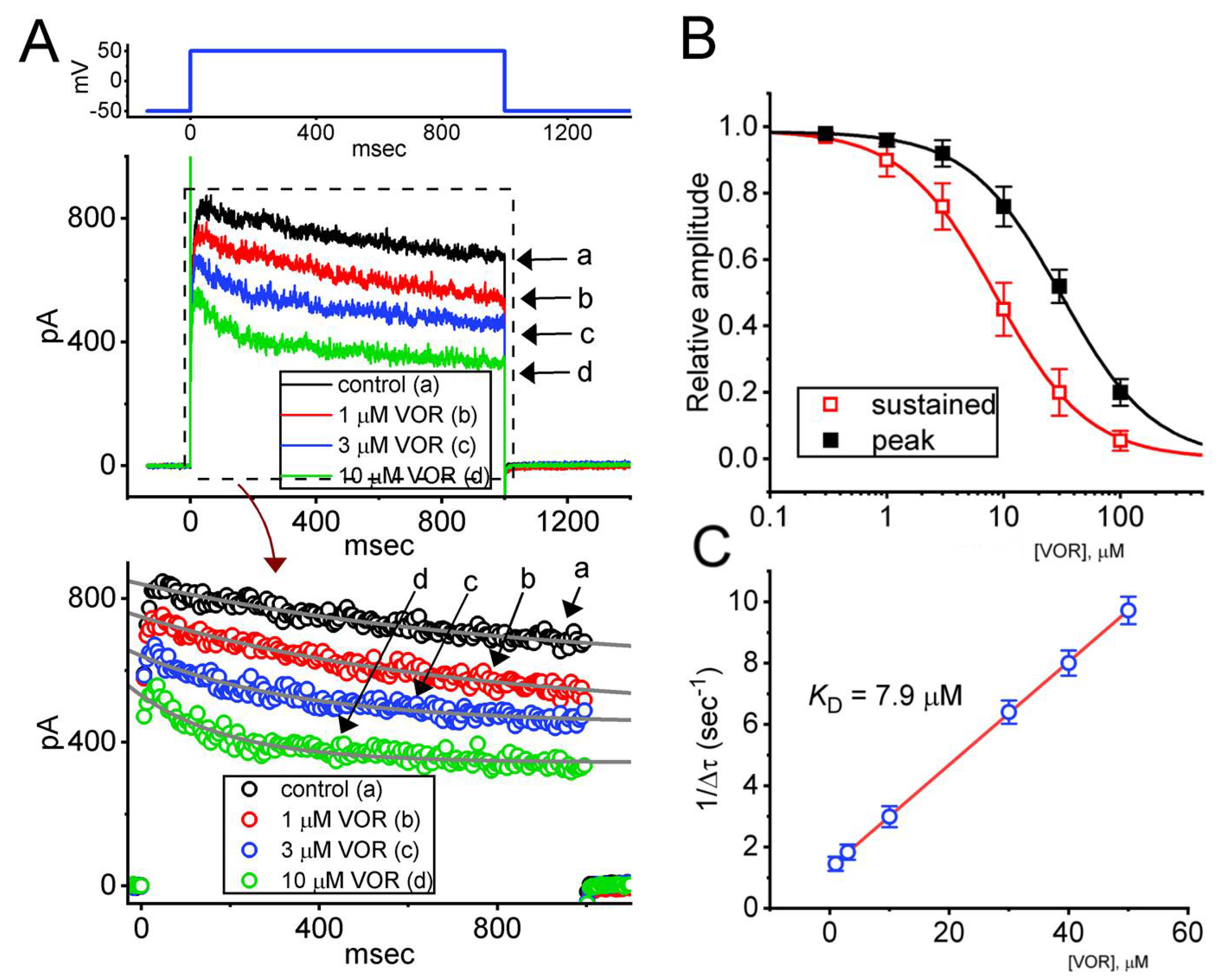 Biomedicines 10 01318 g001
