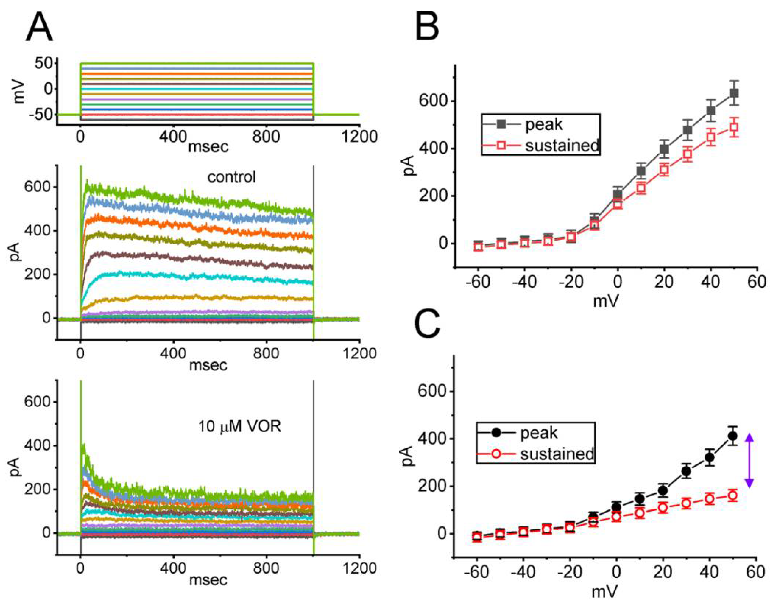 Biomedicines 10 01318 g003