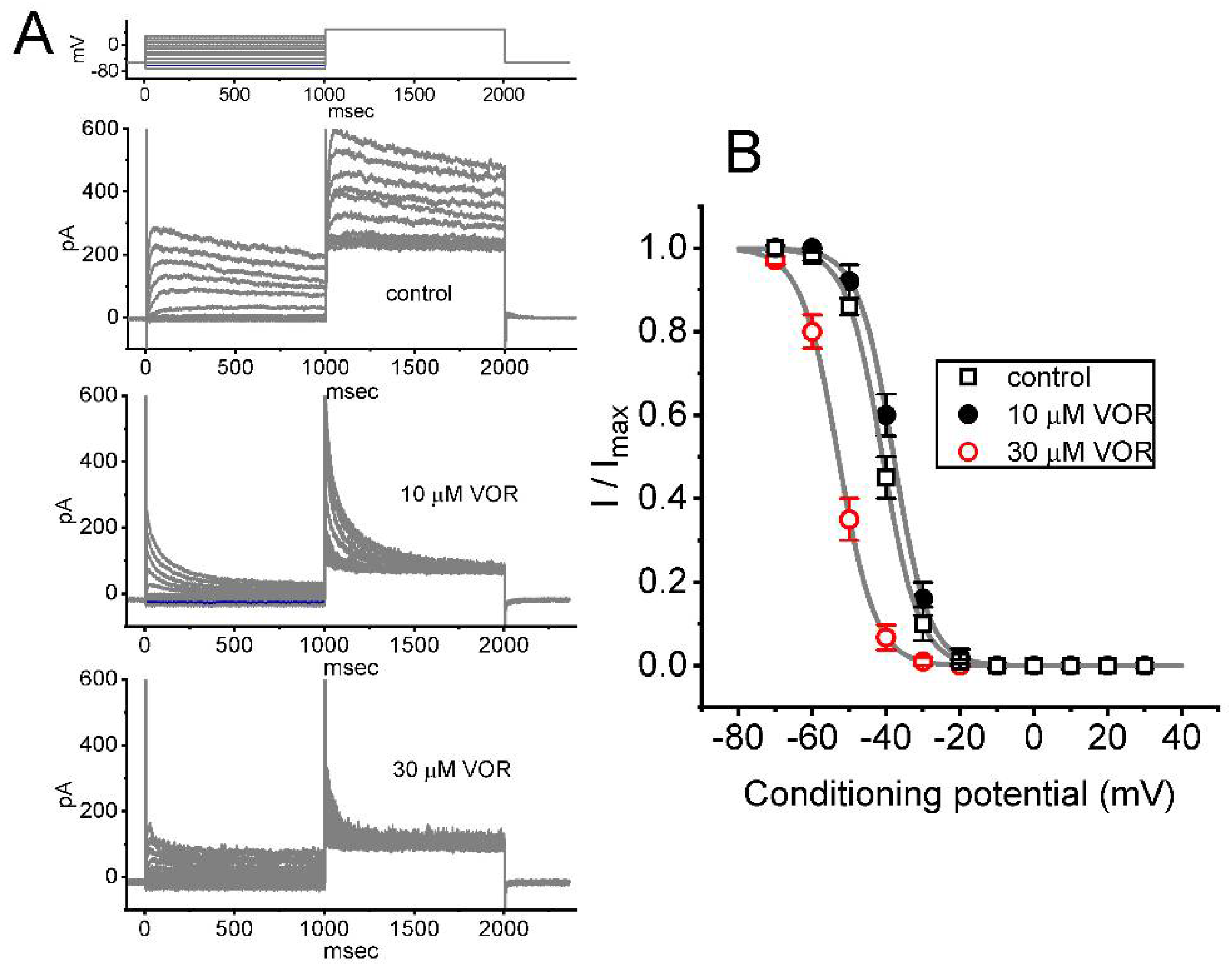 Biomedicines 10 01318 g004