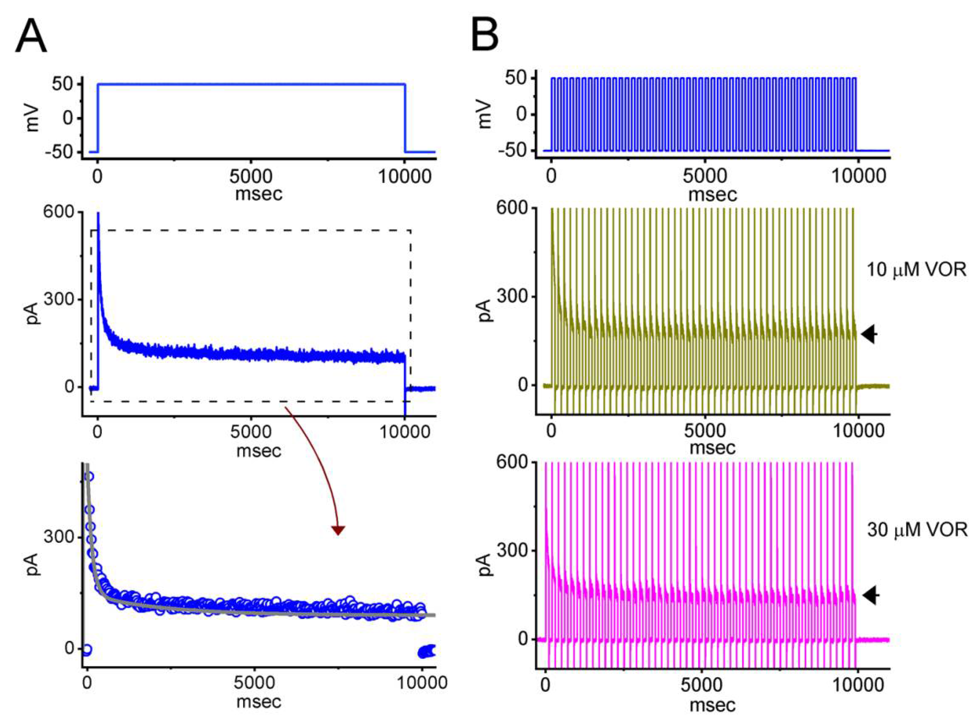 Biomedicines 10 01318 g008