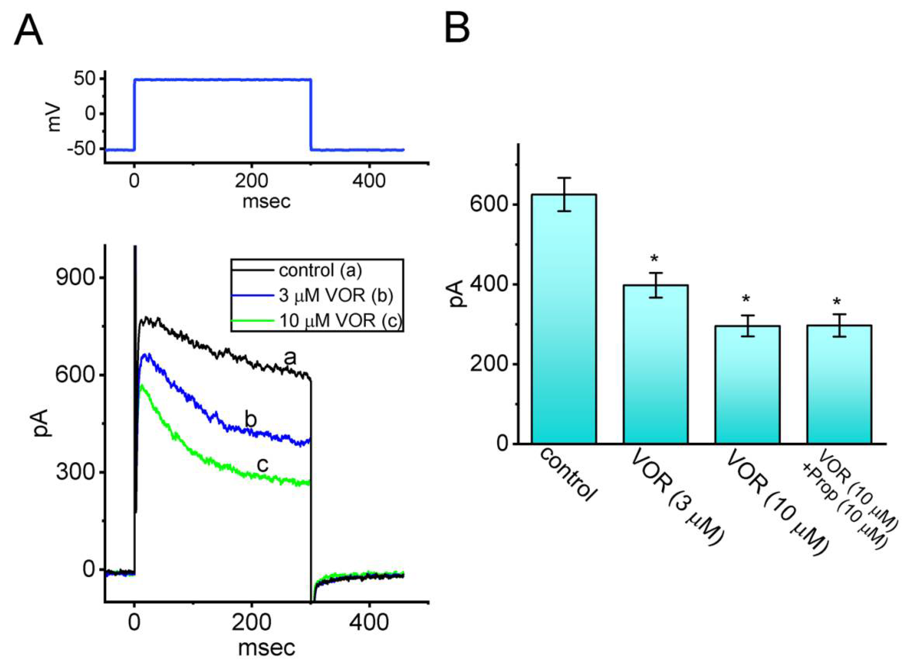 Biomedicines 10 01318 g010