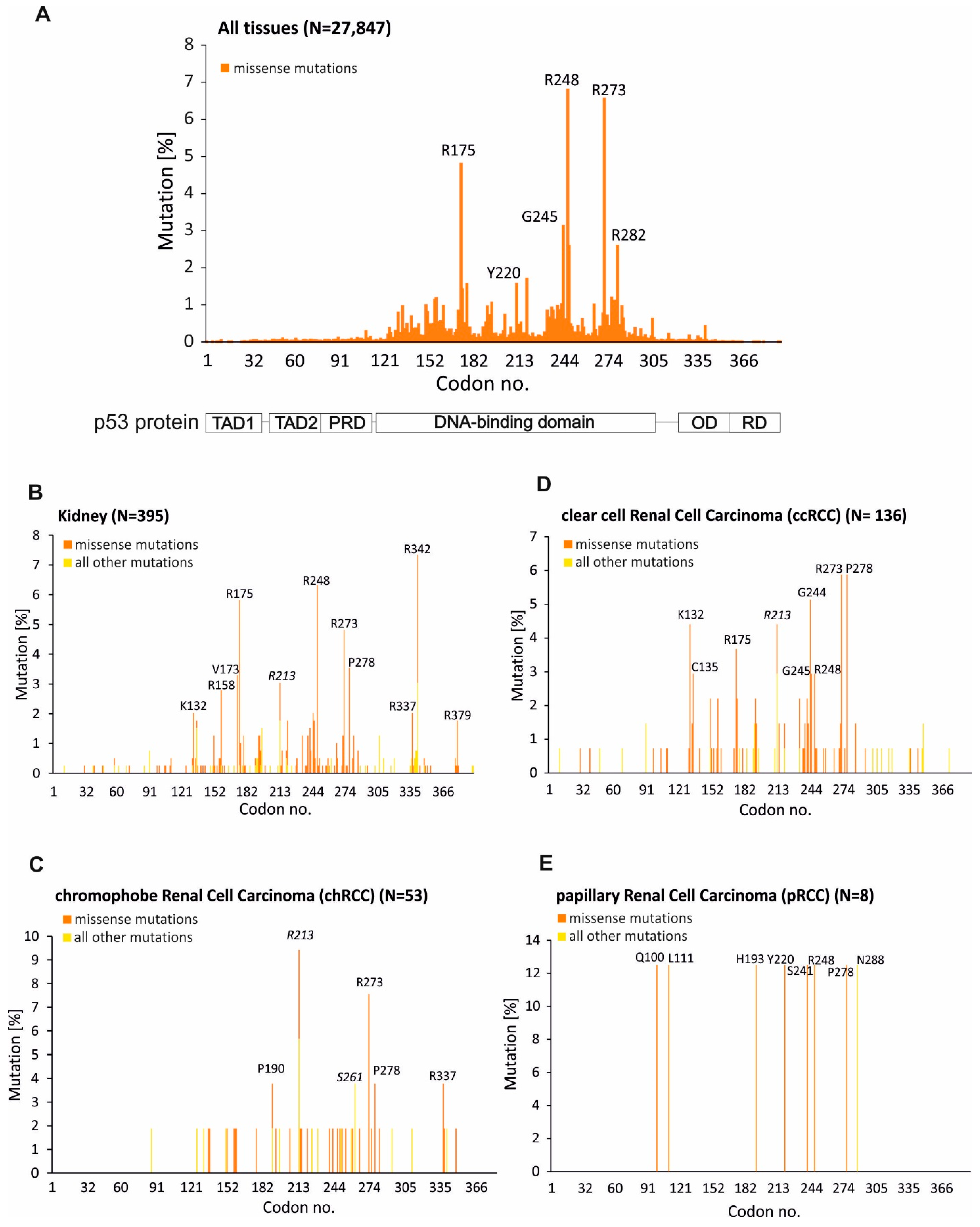Biomedicines 10 01330 g003 Biomedicines 10 01330 g003