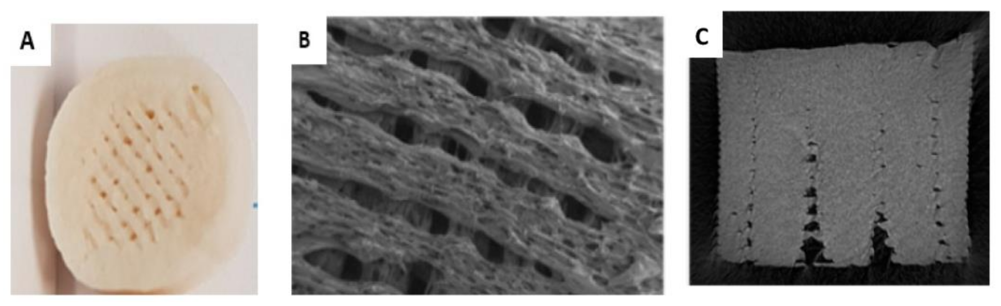 Biomedicines 10 01335 g004 Biomedicines 10 01335 g004
