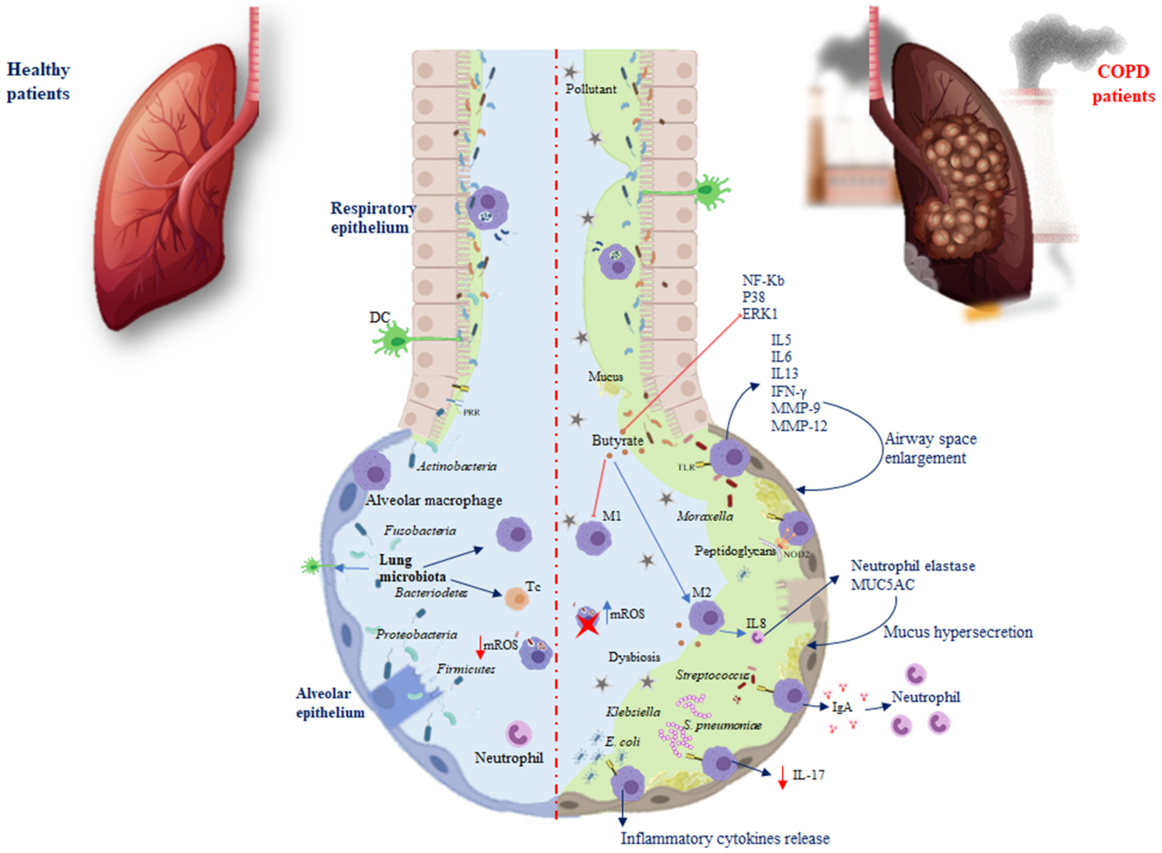 Biomedicines 10 01337 g001