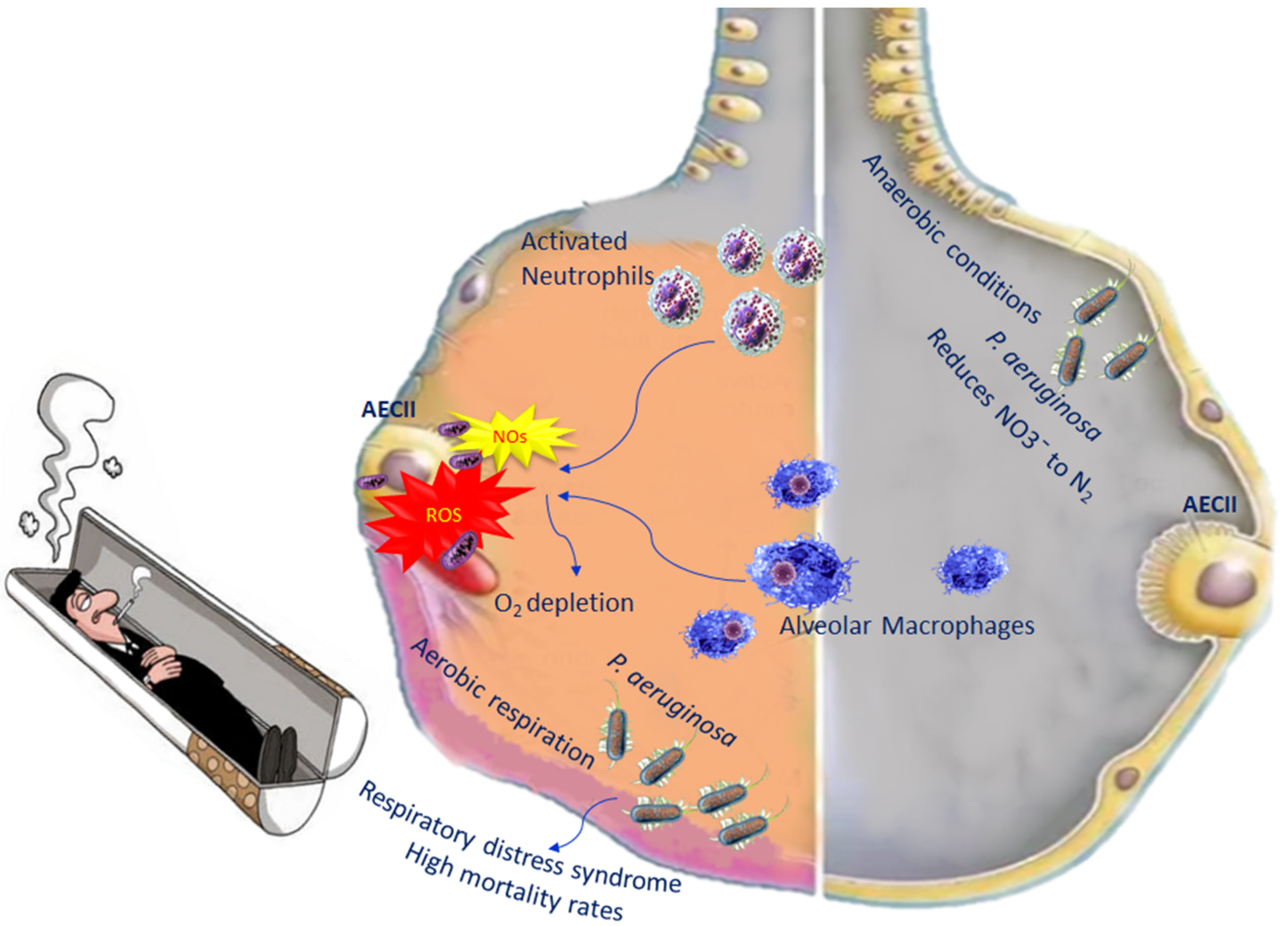 Biomedicines 10 01337 g002