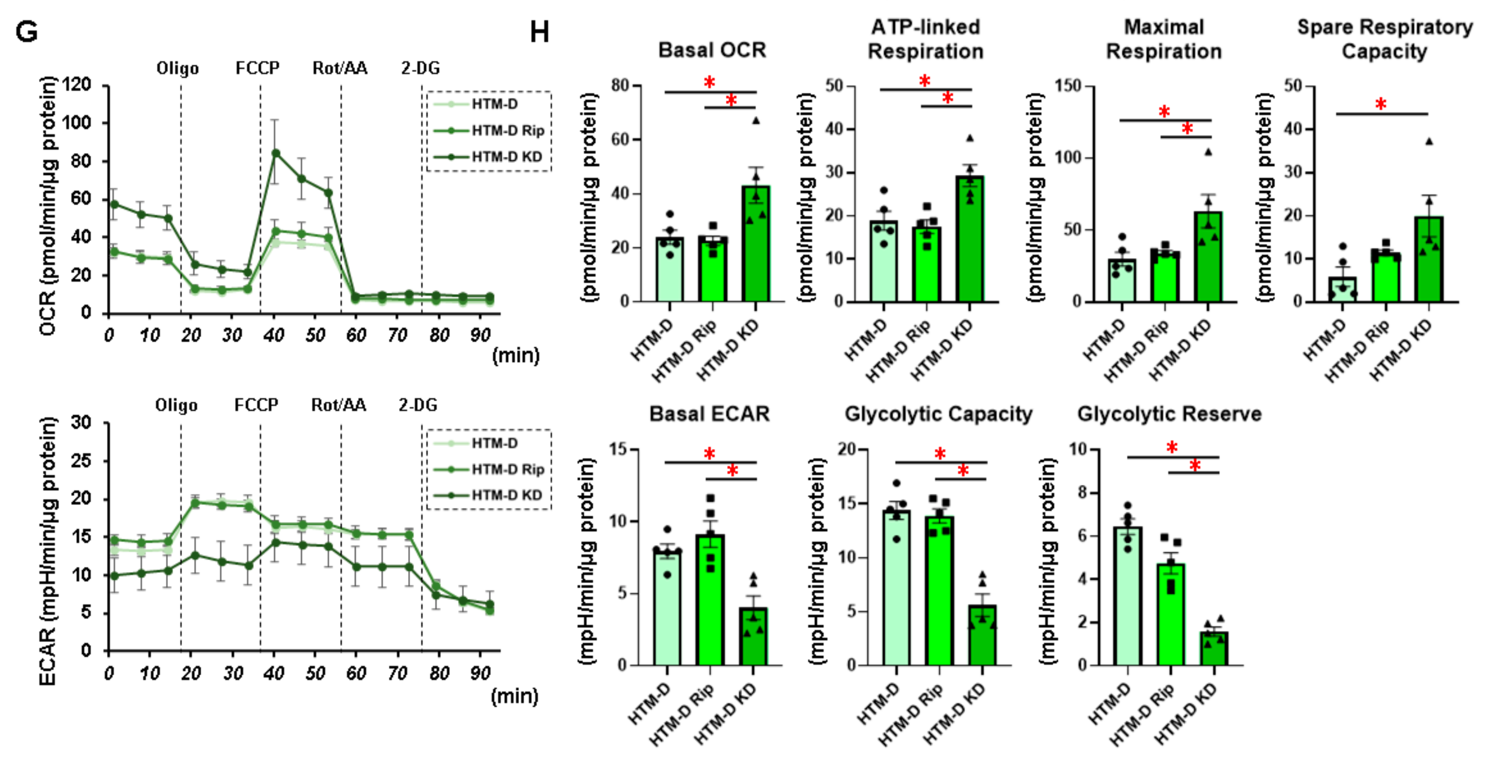 Biomedicines 10 01338 g001b