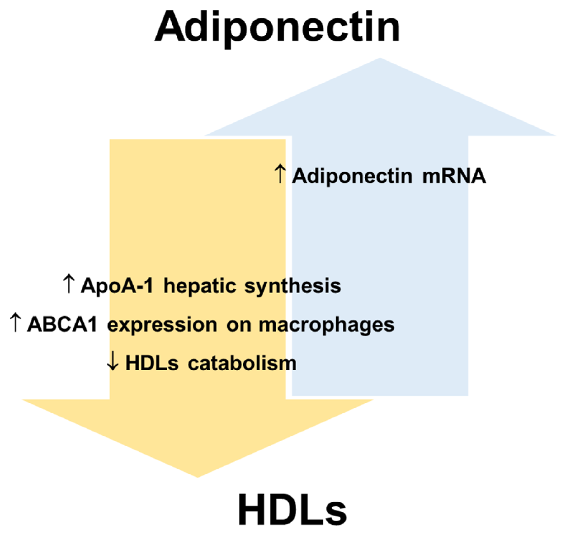 Biomedicines 10 01344 g003