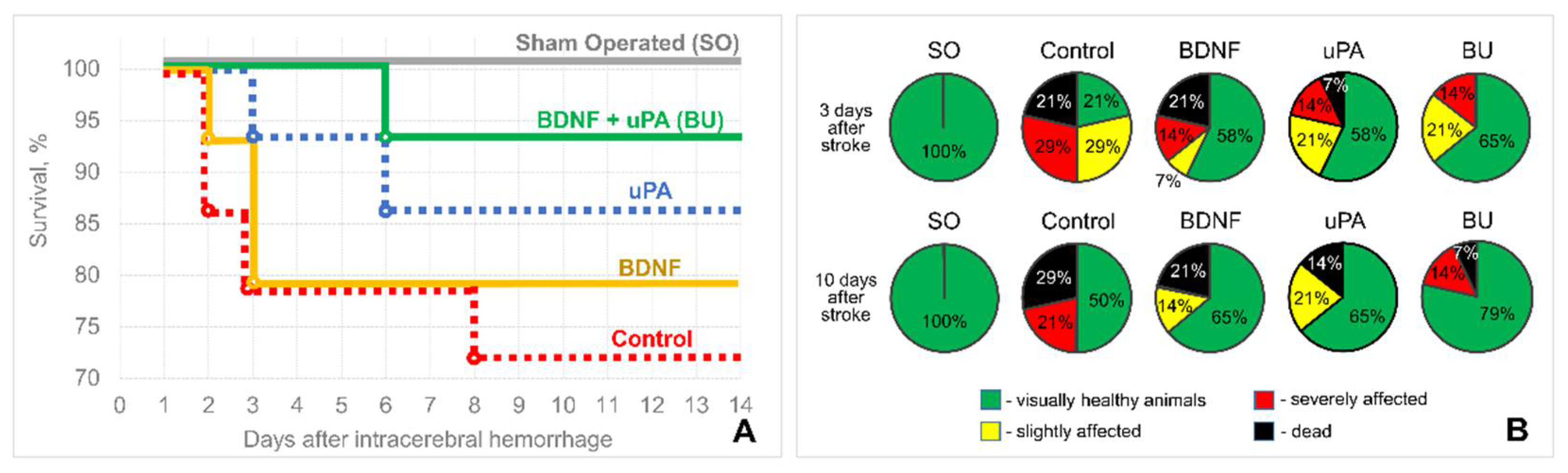 Biomedicines 10 01346 g001