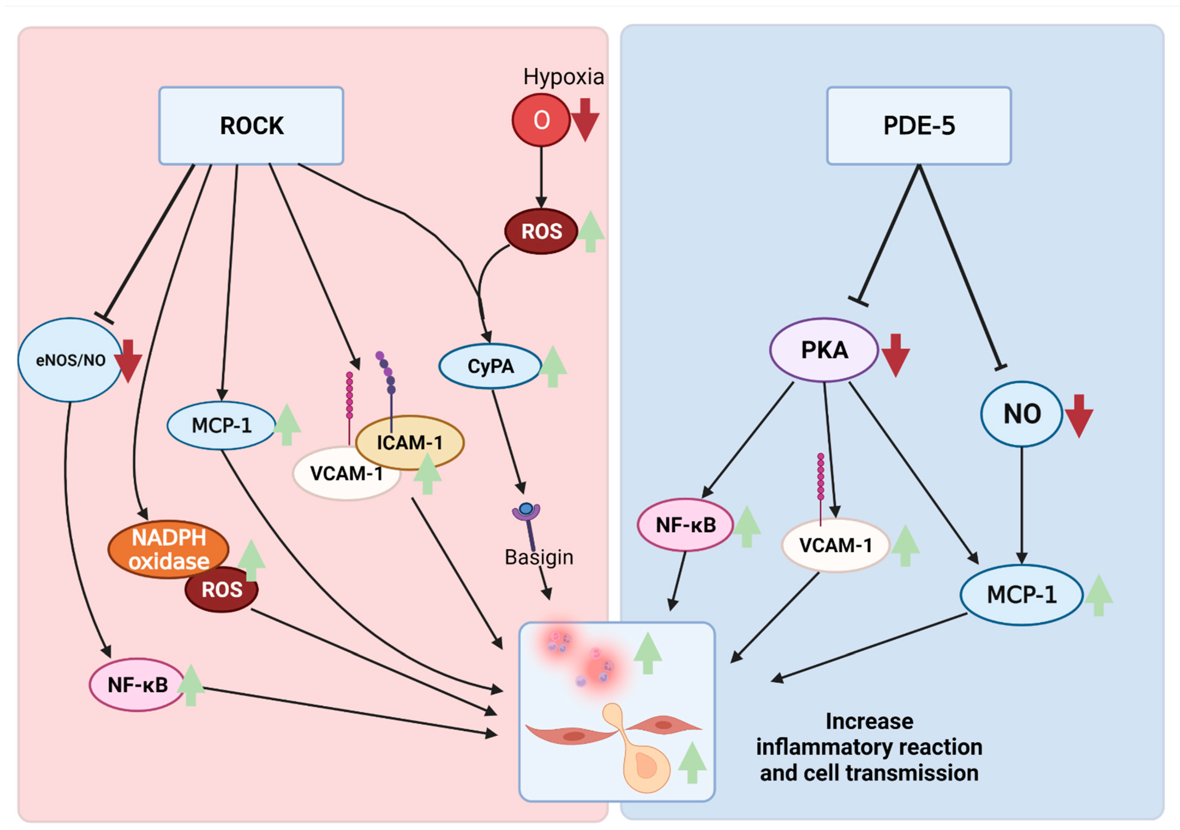Biomedicines 10 01348 g002 Biomedicines 10 01348 g002
