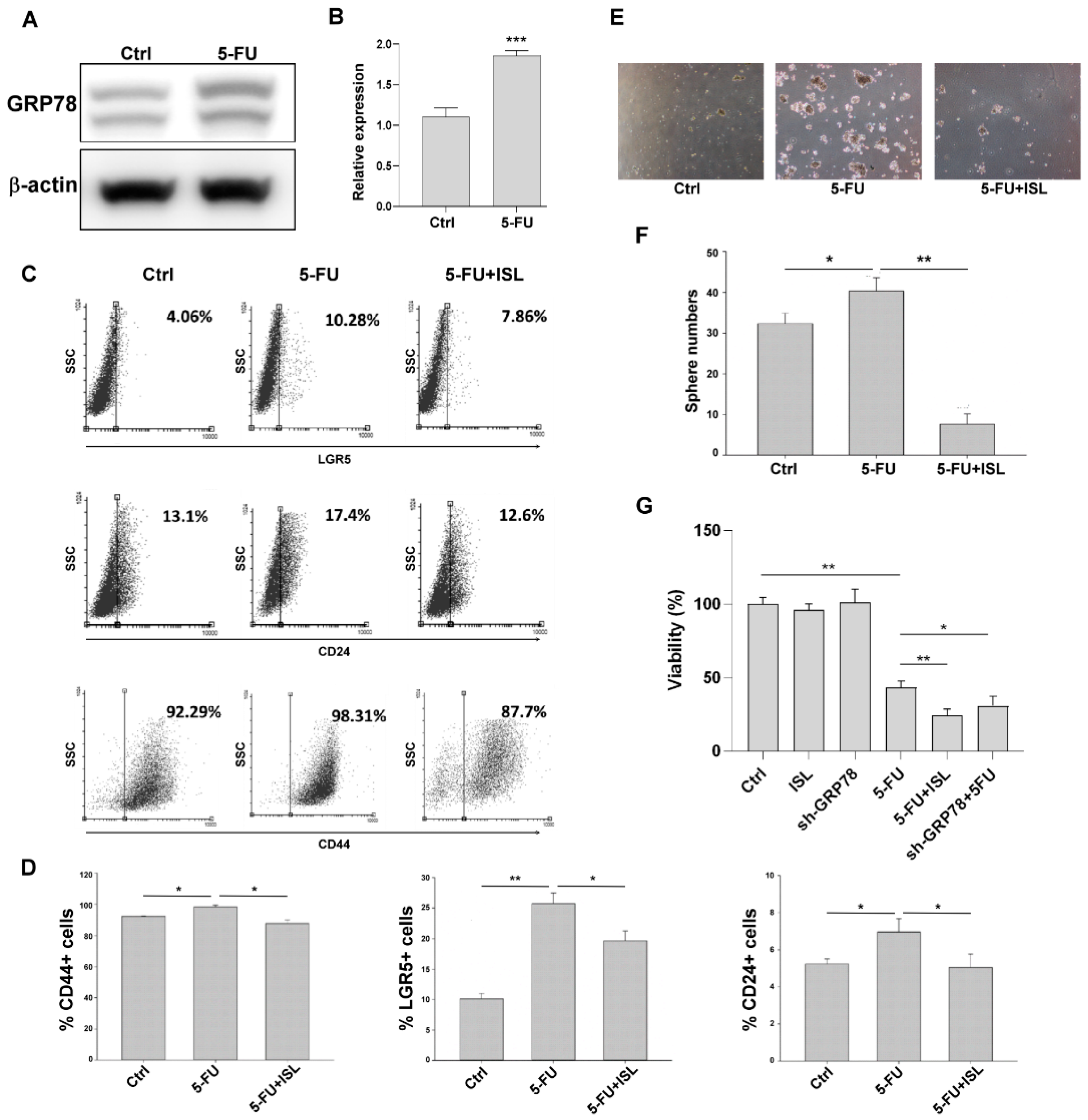 Biomedicines 10 01350 g008