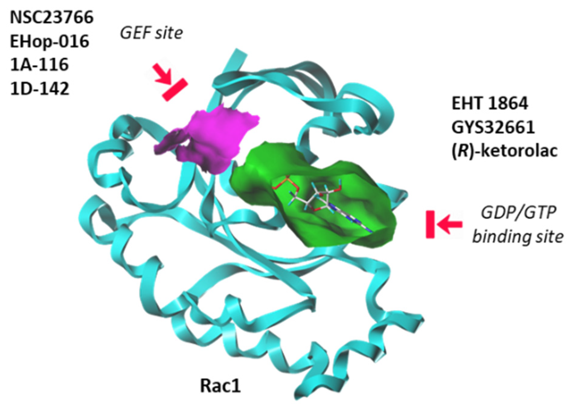 Biomedicines 10 01357 g006