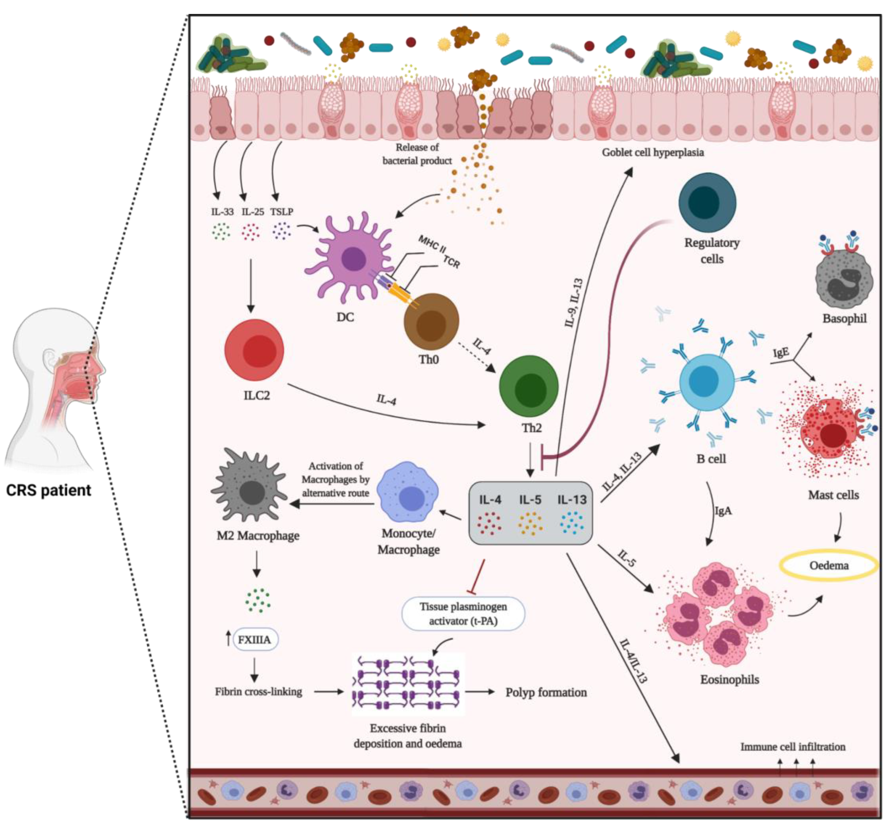 Biomedicines 10 01362 g002