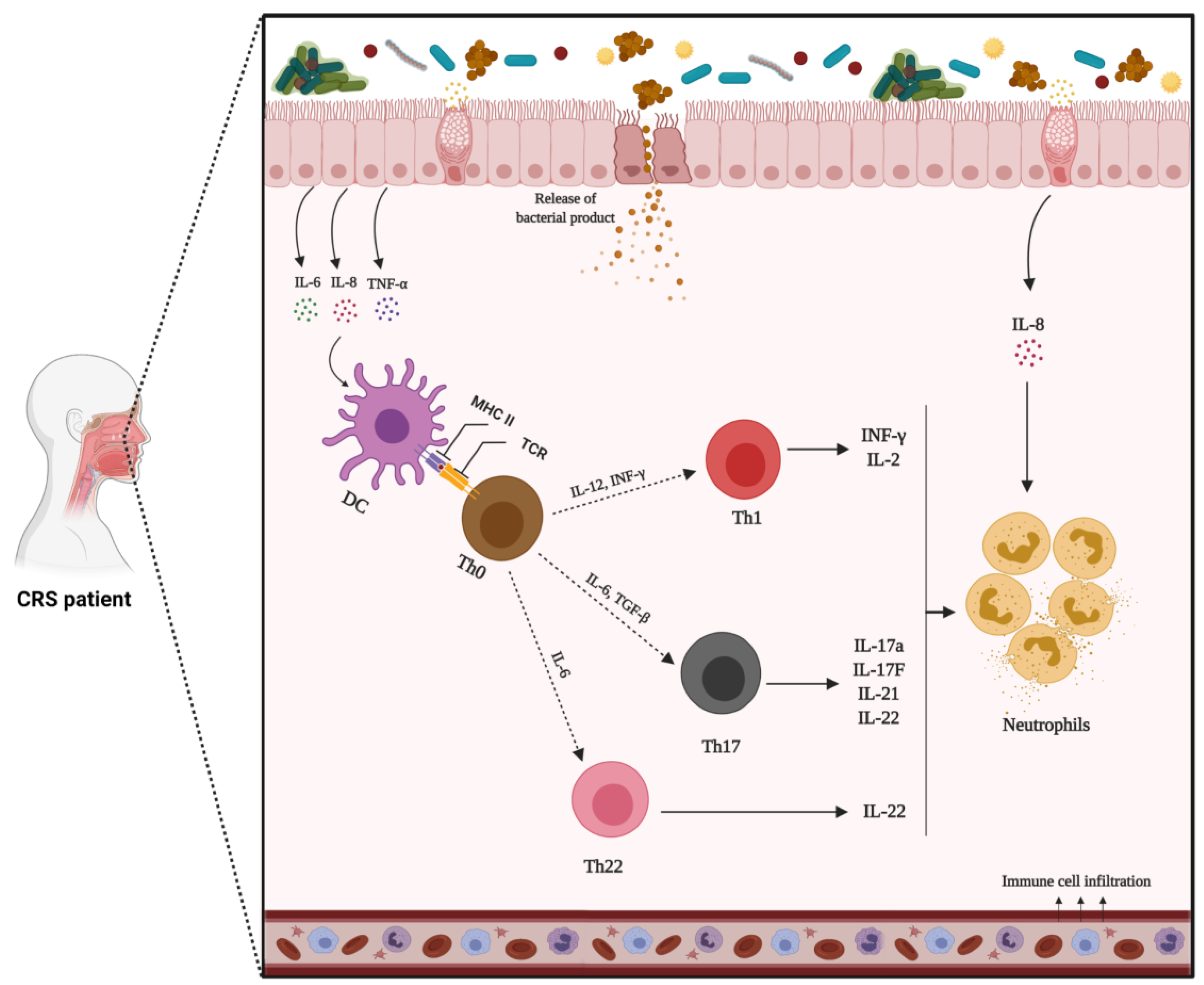 Biomedicines 10 01362 g003