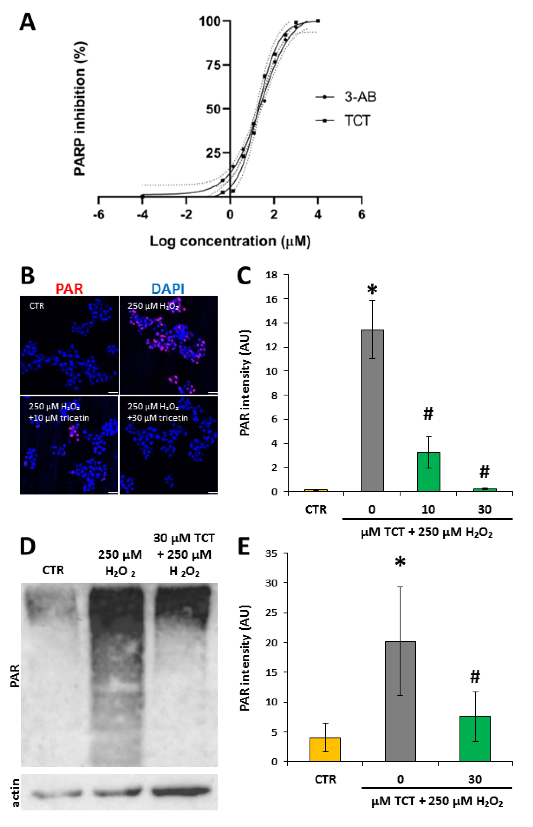 Biomedicines 10 01371 g003 Biomedicines 10 01371 g003