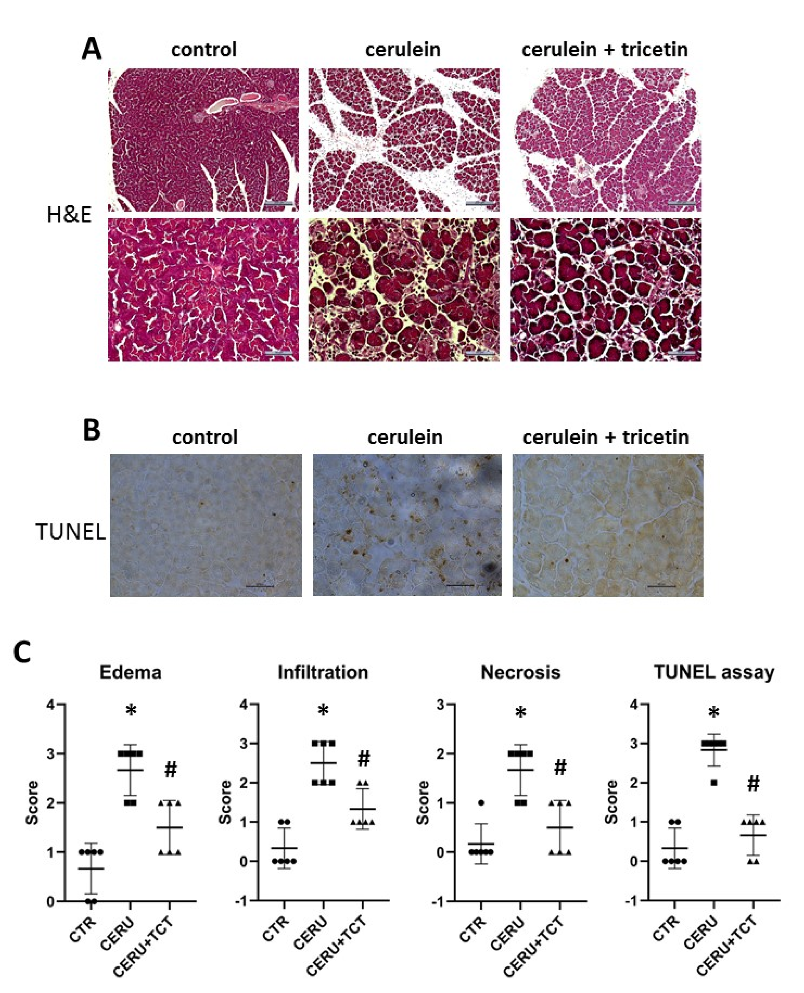 Biomedicines 10 01371 g005 Biomedicines 10 01371 g005