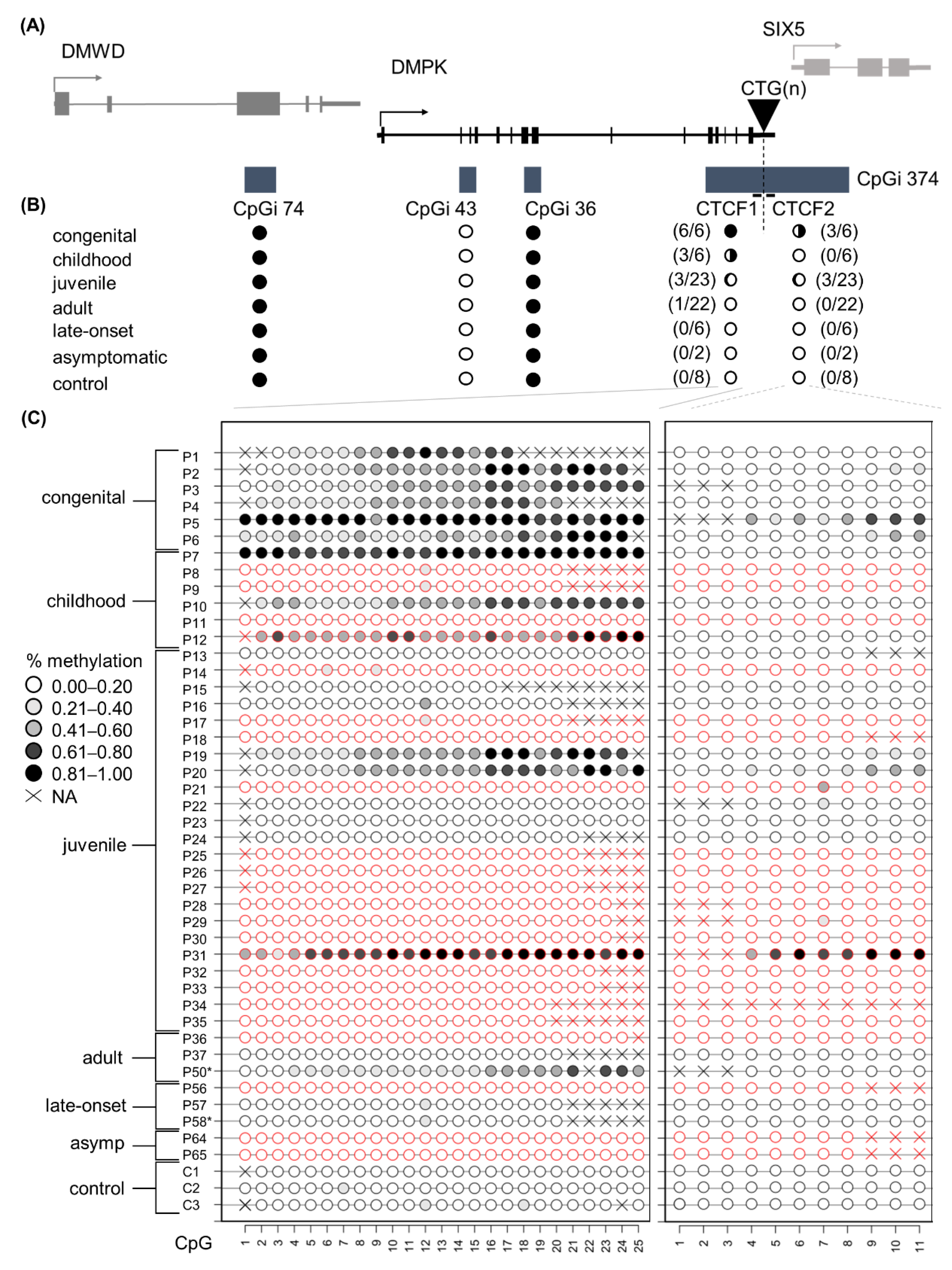 Biomedicines 10 01372 g001 Biomedicines 10 01372 g001
