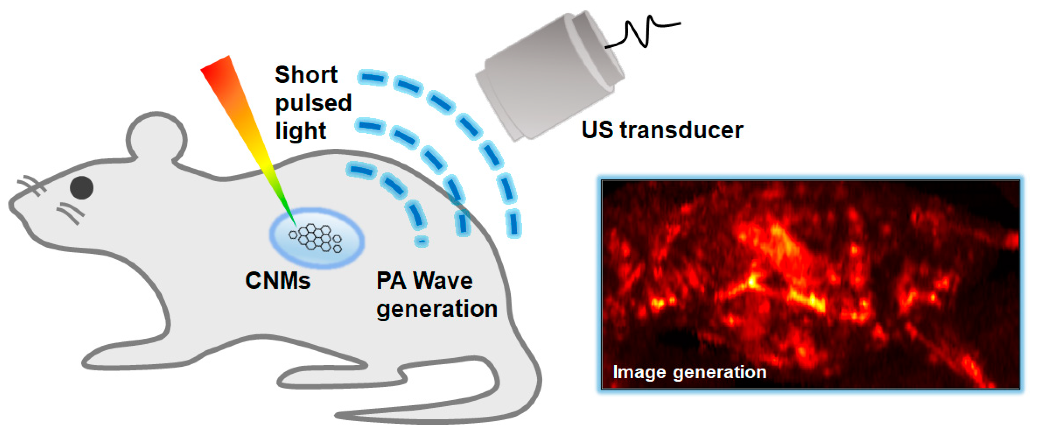 Biomedicines 10 01374 g002
