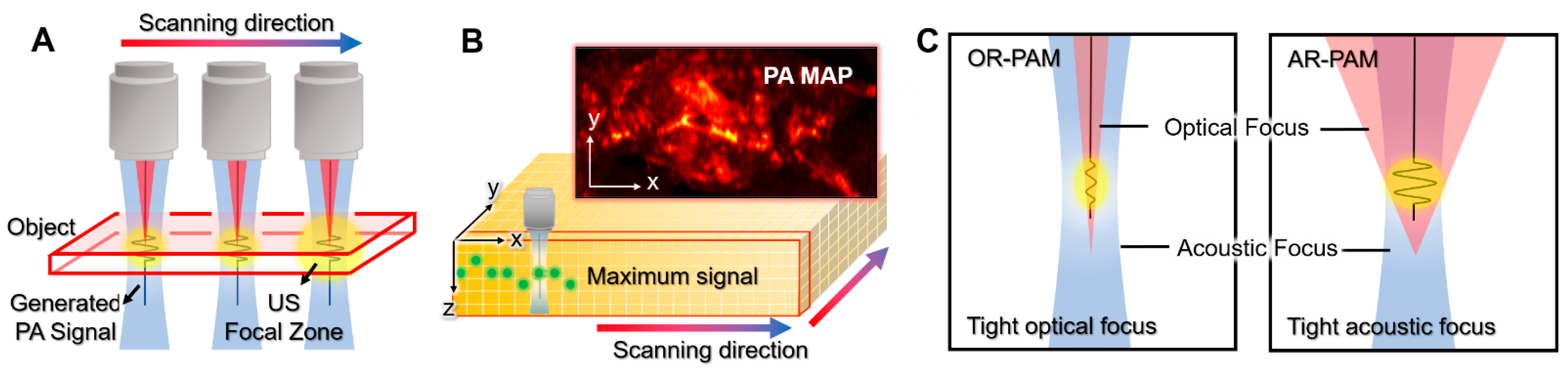 Biomedicines 10 01374 g003
