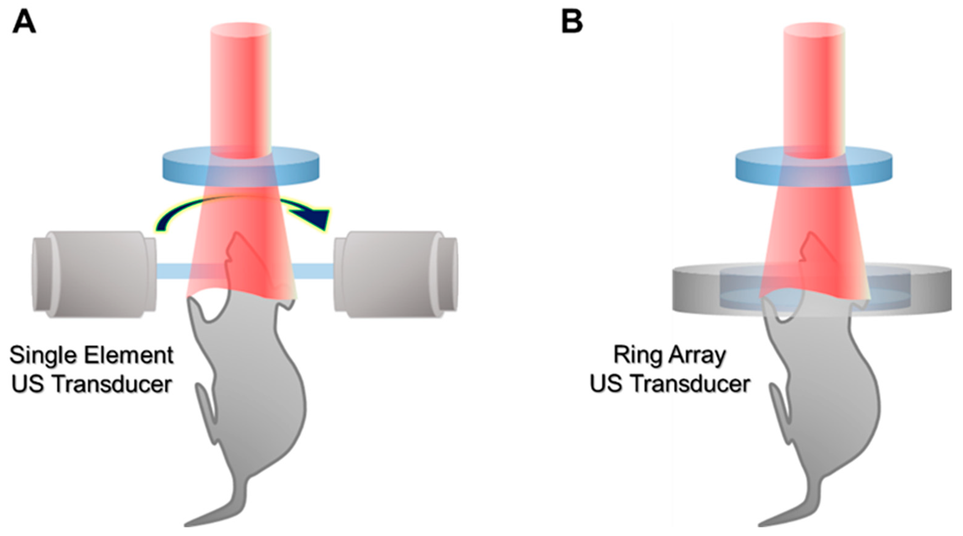 Biomedicines 10 01374 g004