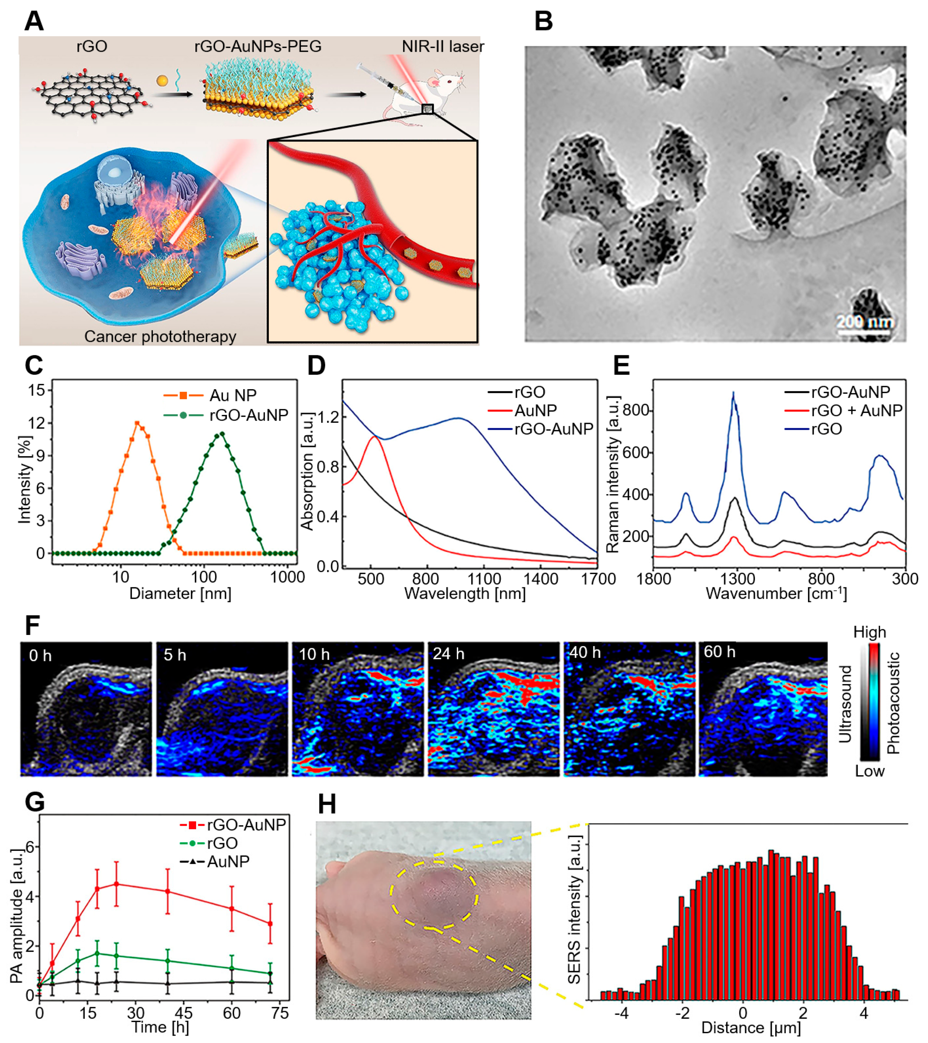 Biomedicines 10 01374 g006