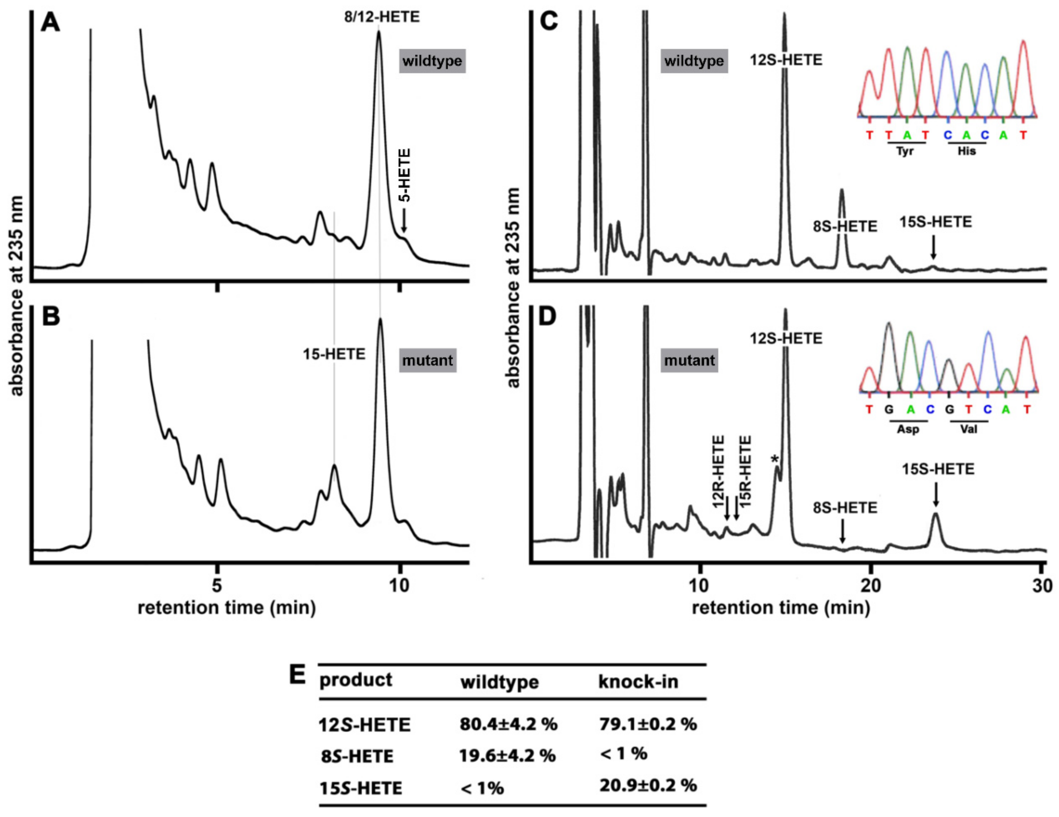 Biomedicines 10 01379 g004