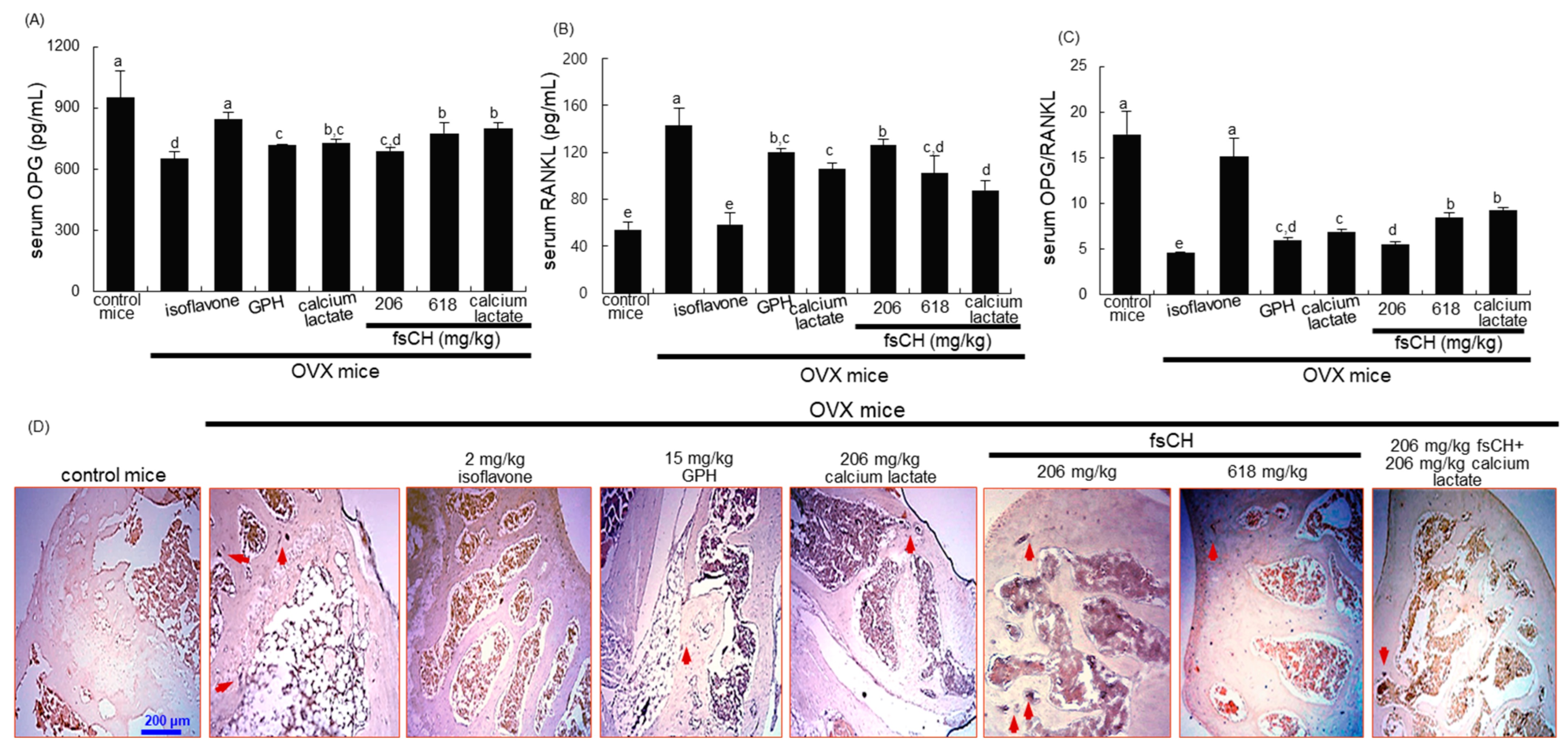 Biomedicines 10 01382 g002 Biomedicines 10 01382 g002