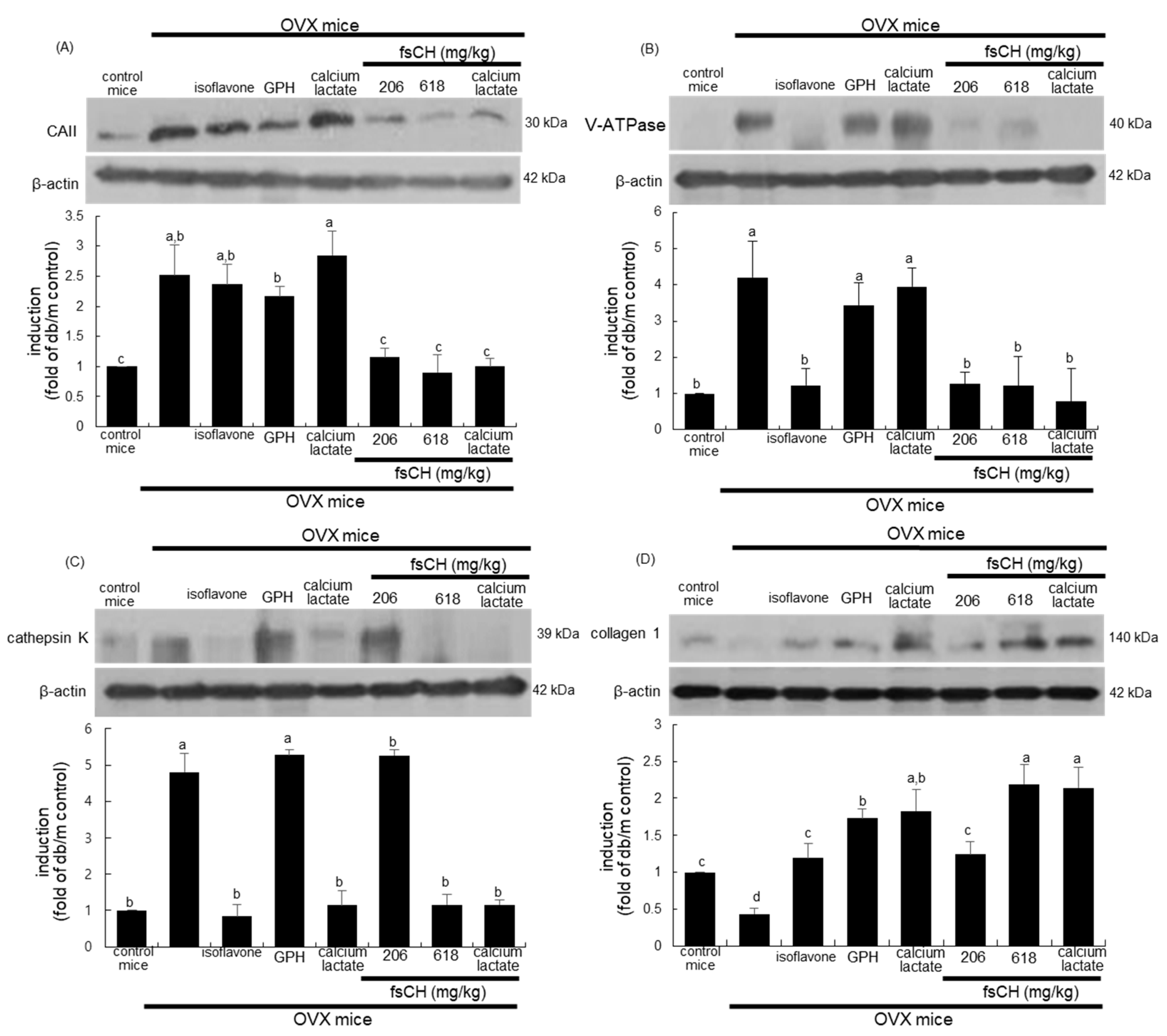 Biomedicines 10 01382 g003 Biomedicines 10 01382 g003