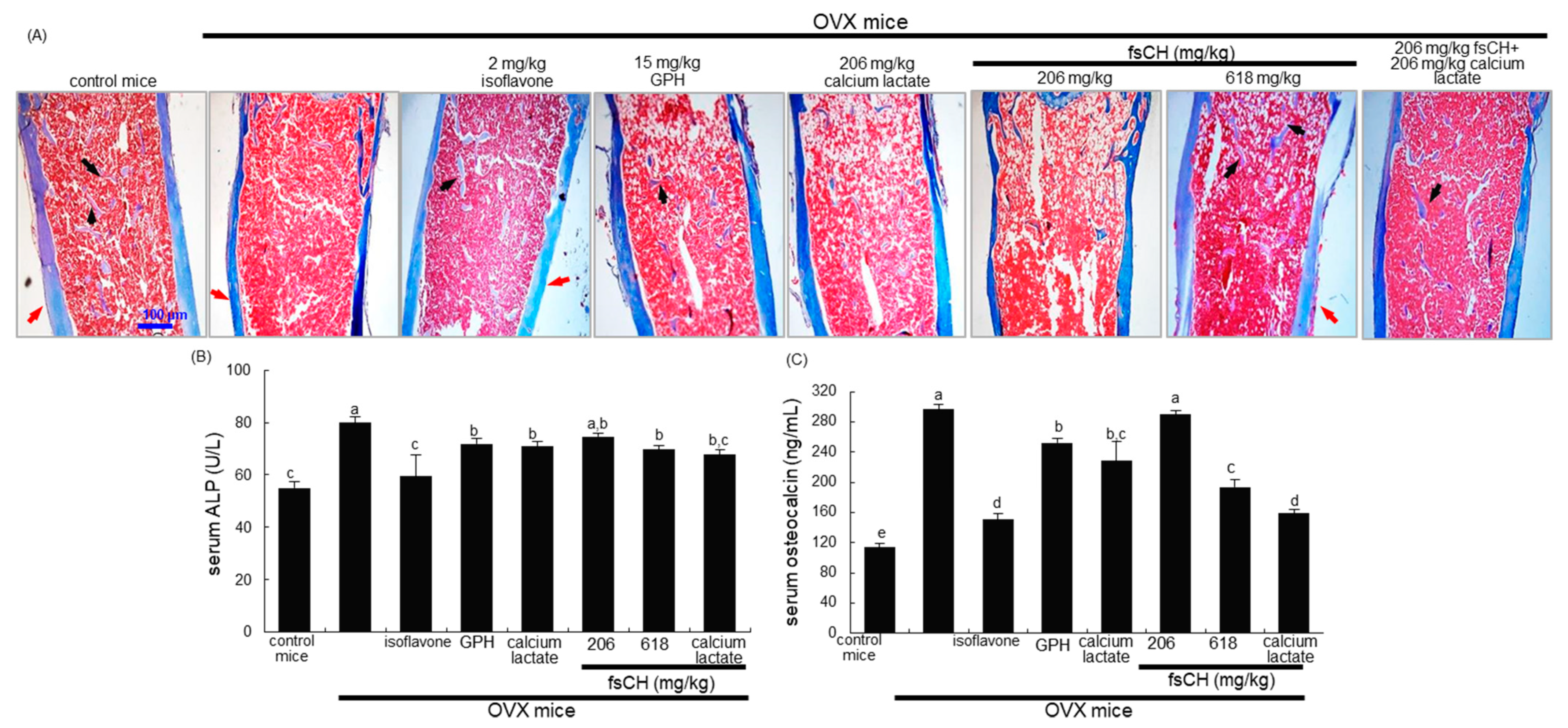 Biomedicines 10 01382 g005 Biomedicines 10 01382 g005