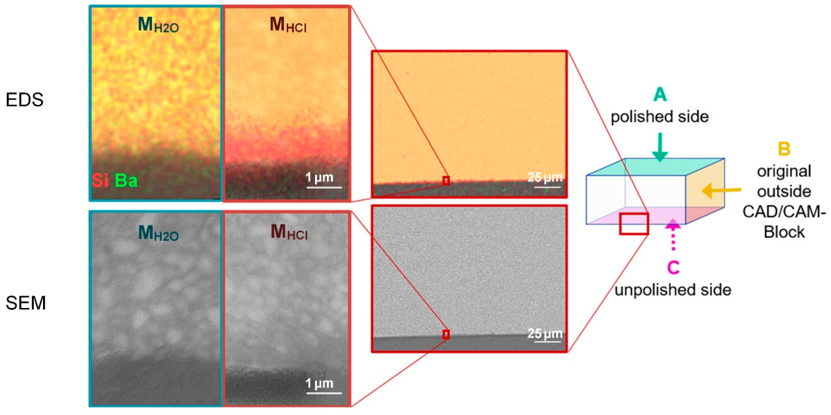 Biomedicines 10 01383 g004 Biomedicines 10 01383 g004