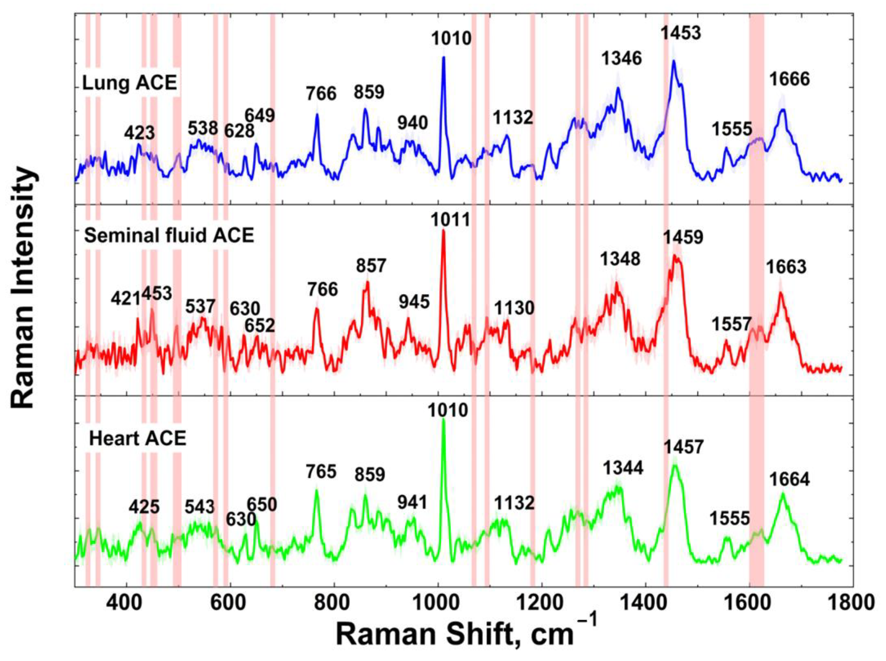 Biomedicines 10 01389 g001