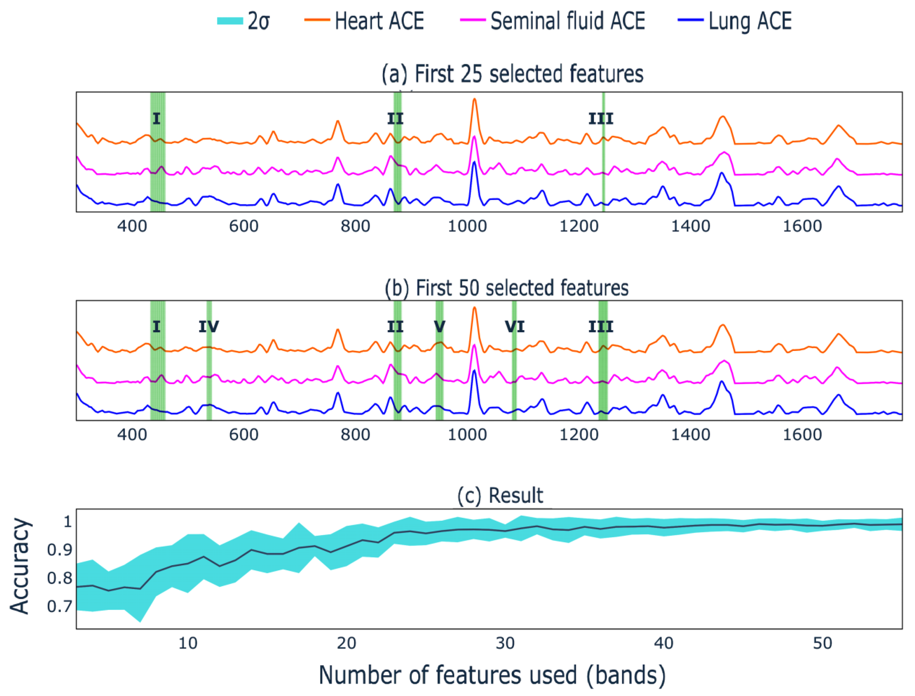 Biomedicines 10 01389 g005